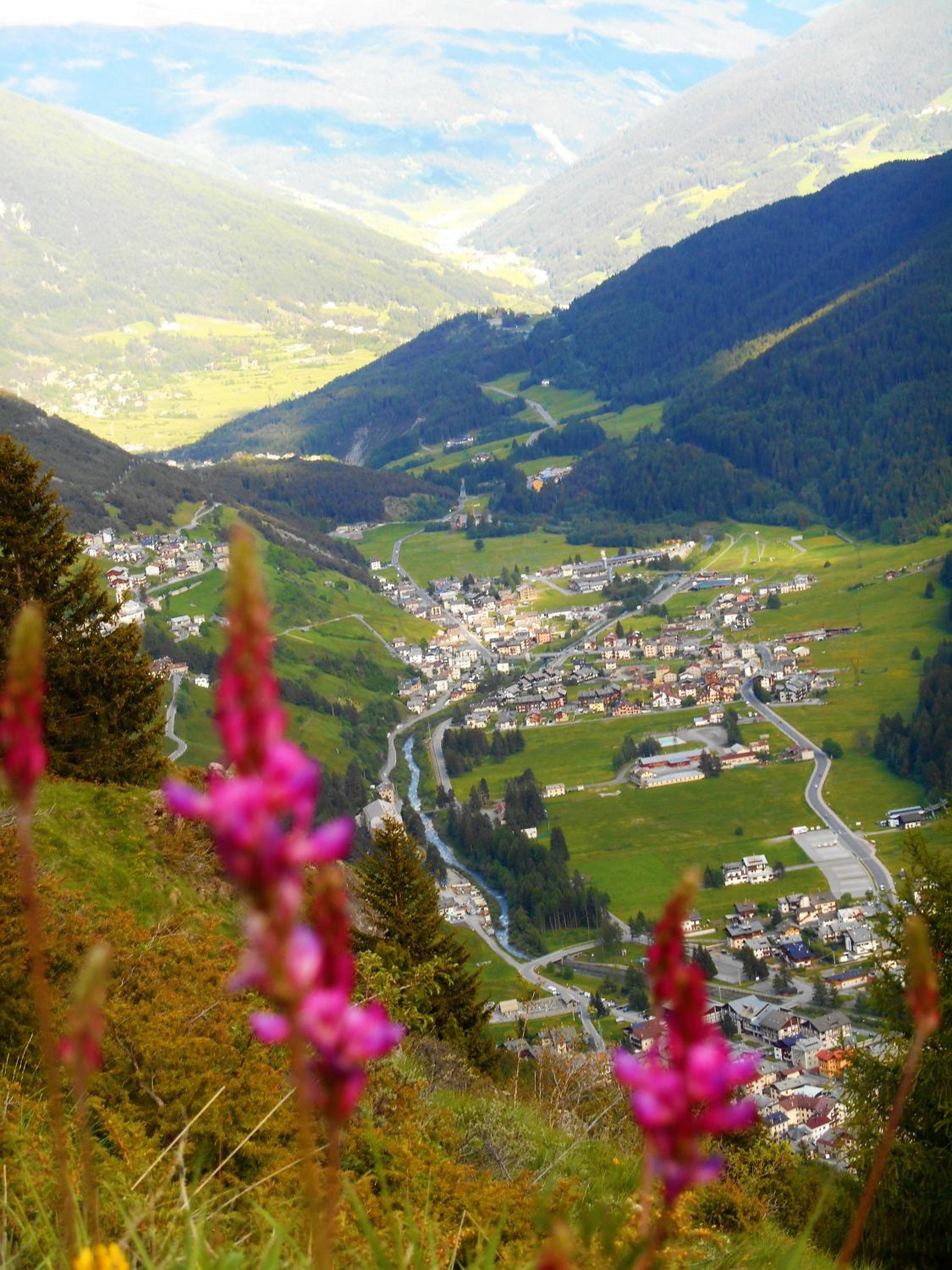 Photo 44