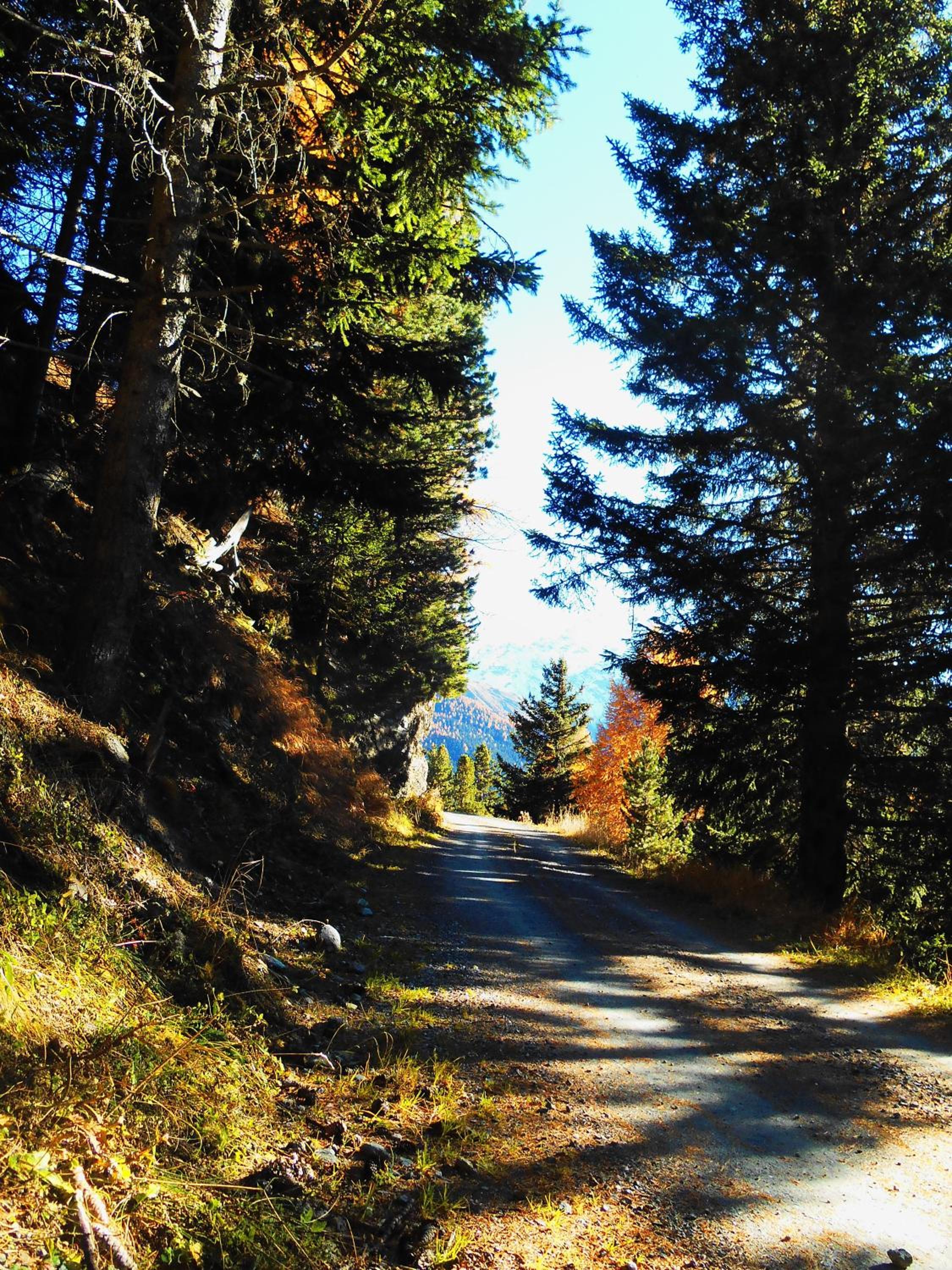 Photo 46