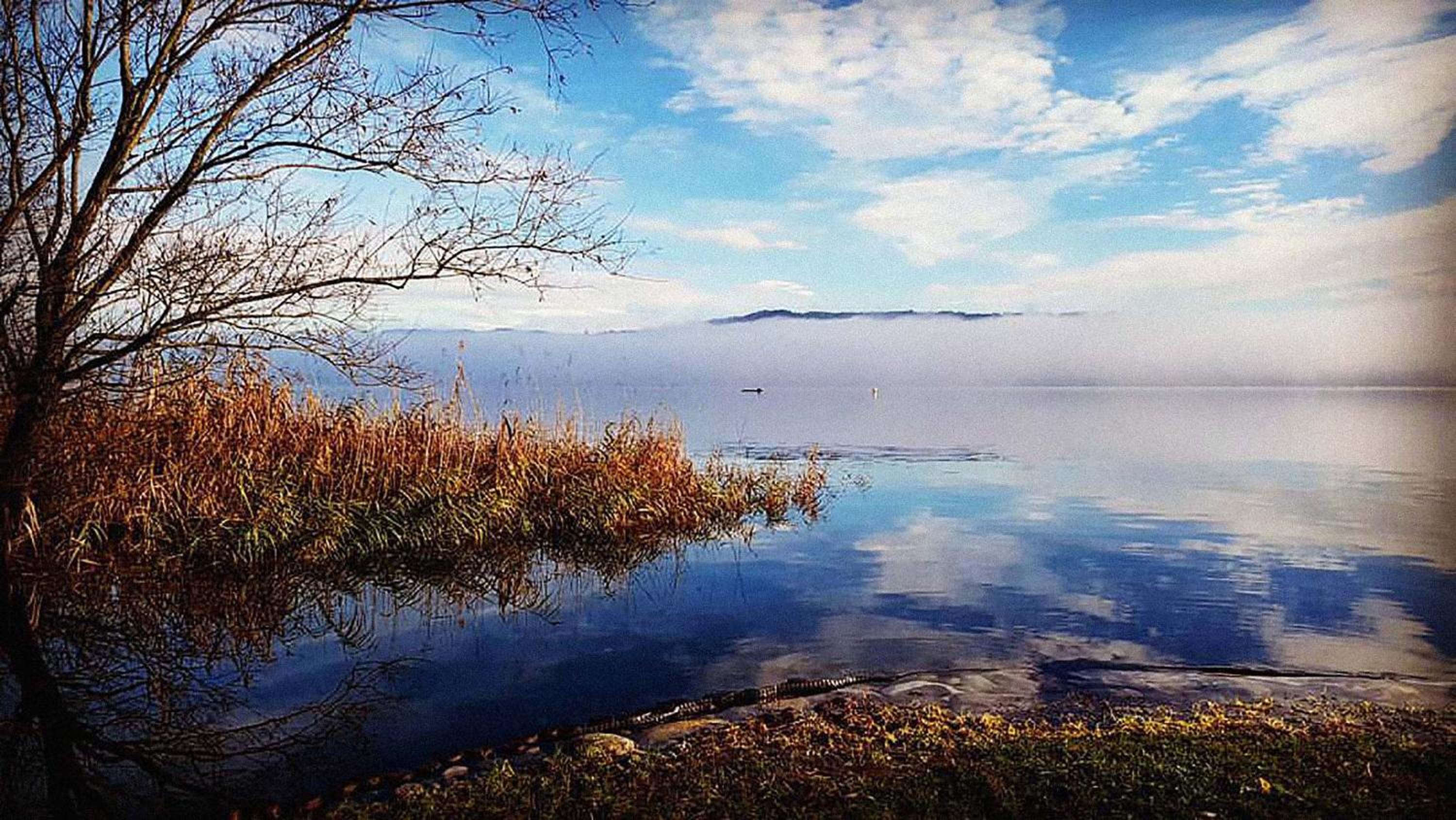 Ritratto sul Lago