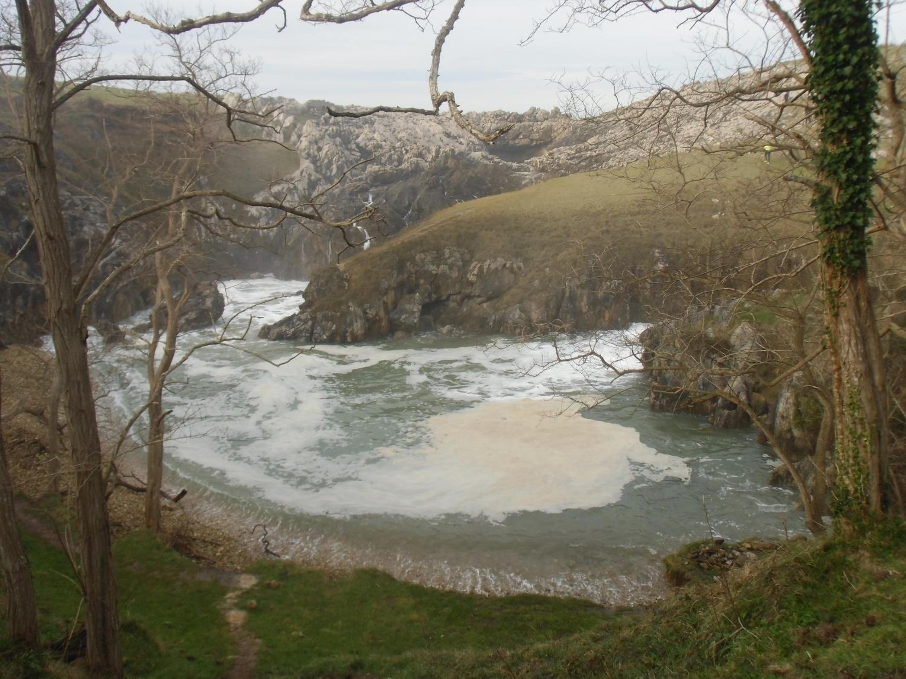 Photo 13