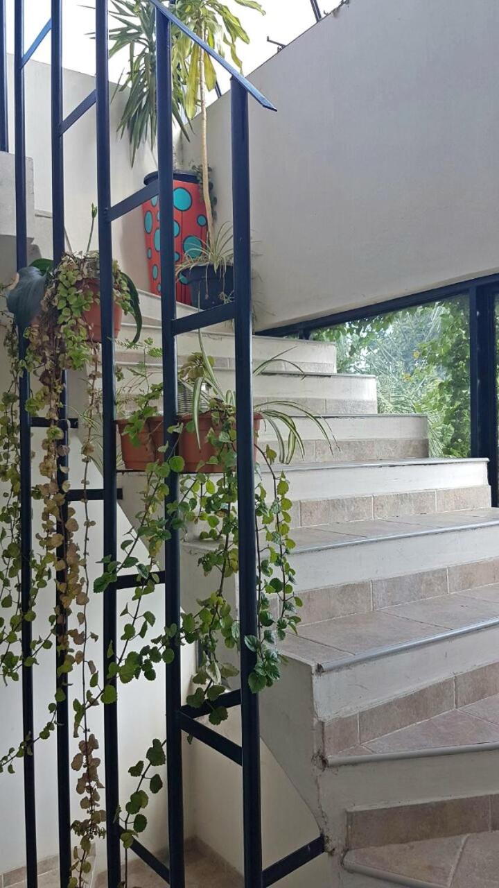 Guest House Jujuy