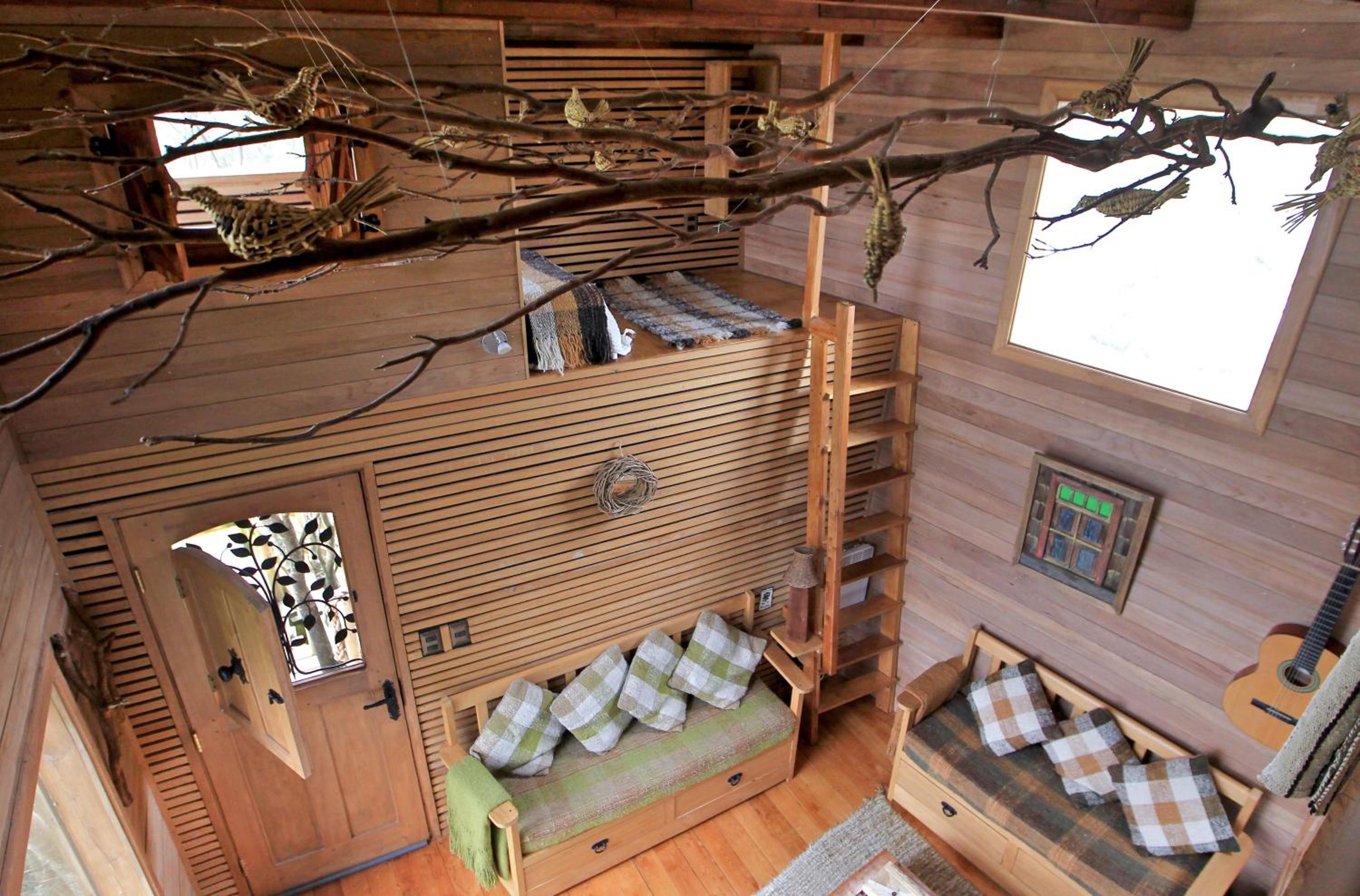 La Casa Del Árbol De Chiloé