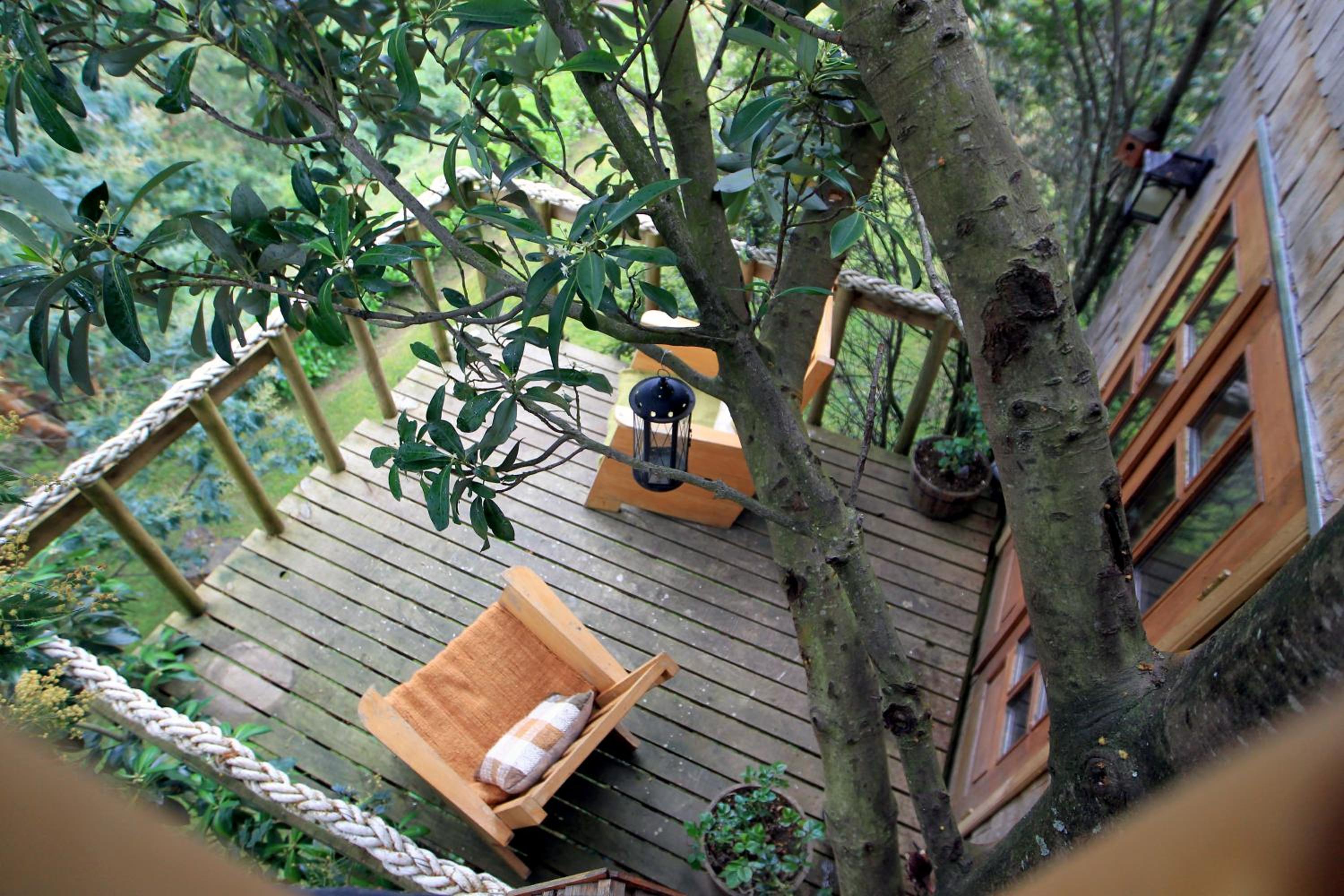 La Casa Del Árbol De Chiloé