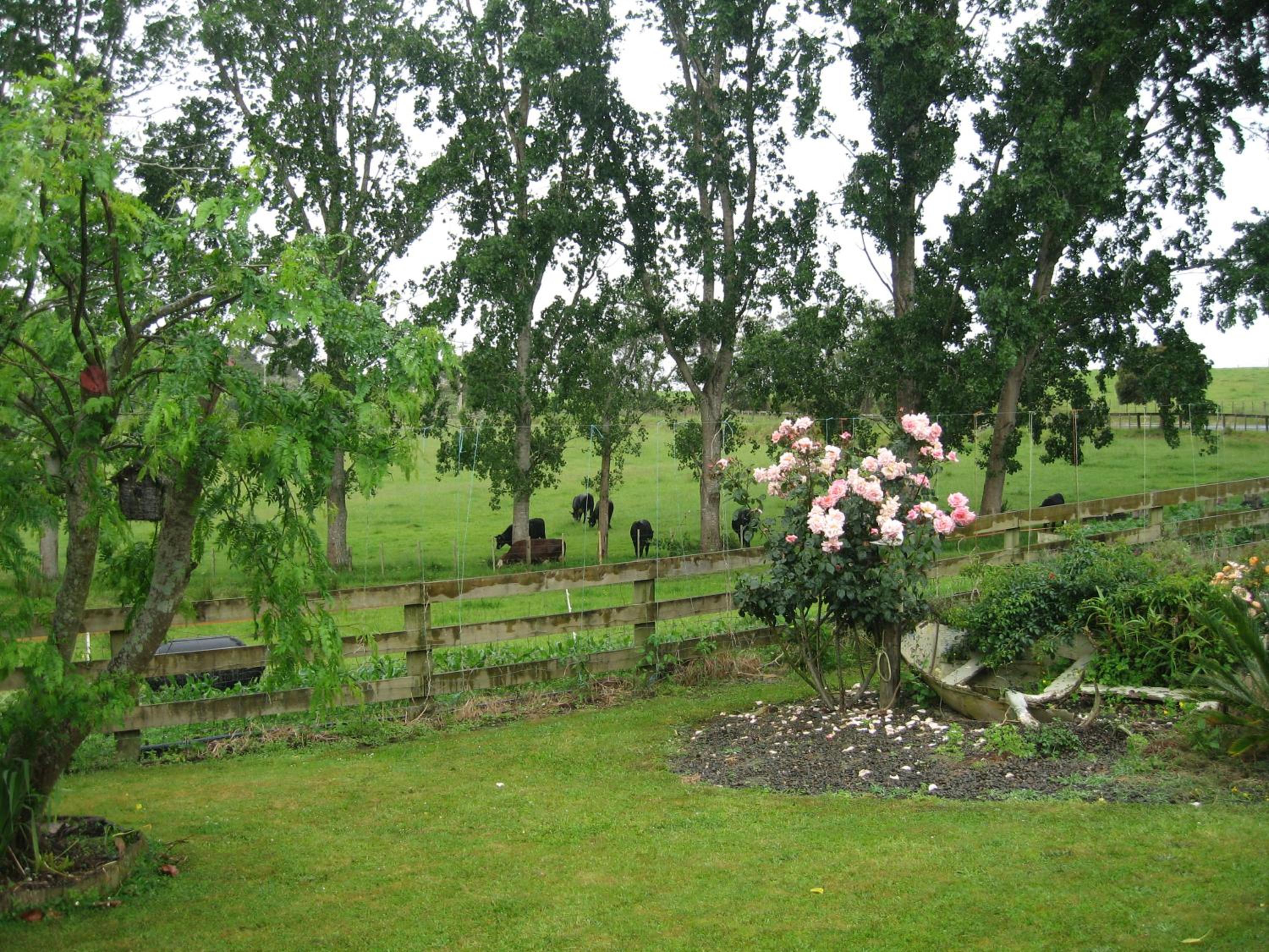 Photo 21