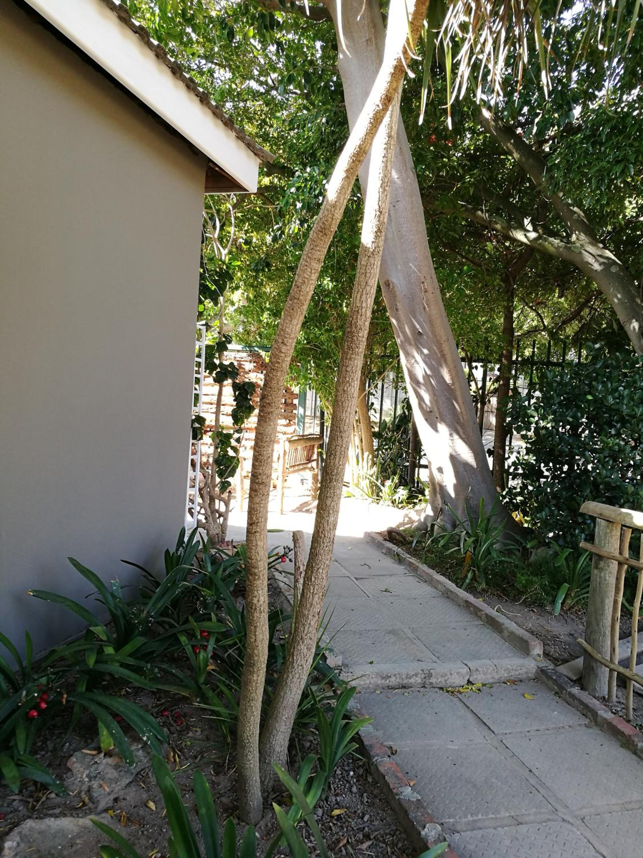 Willows Curve view 4