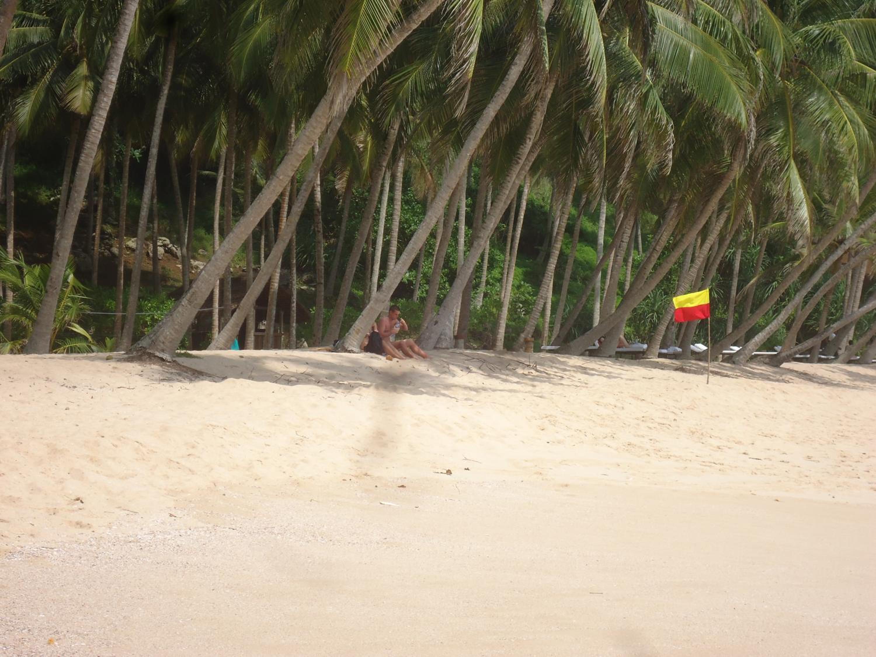 Photo 48
