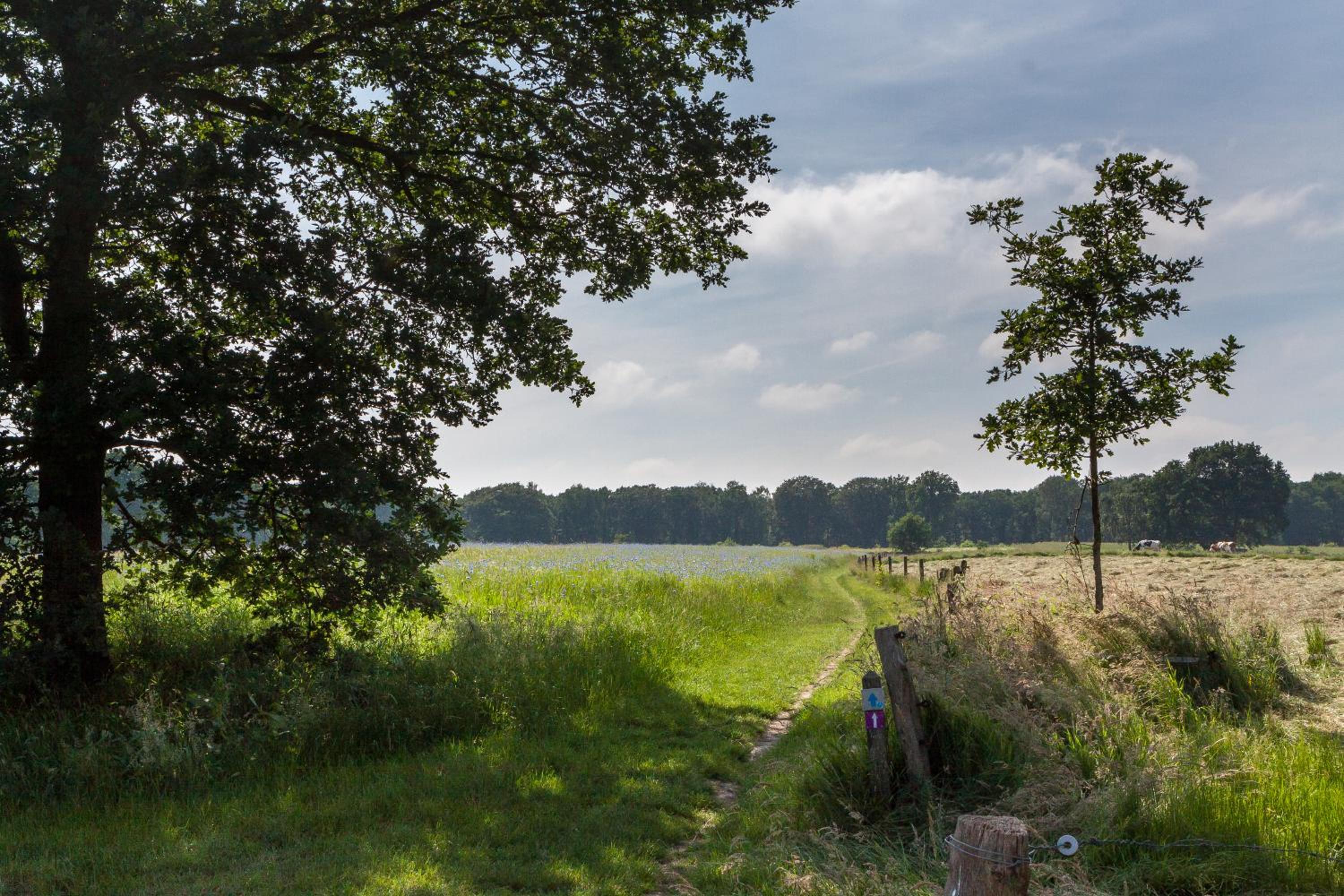Hoeve Springendal