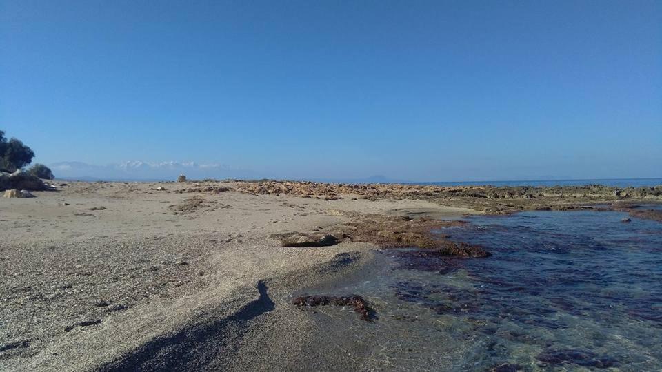 Photo 43