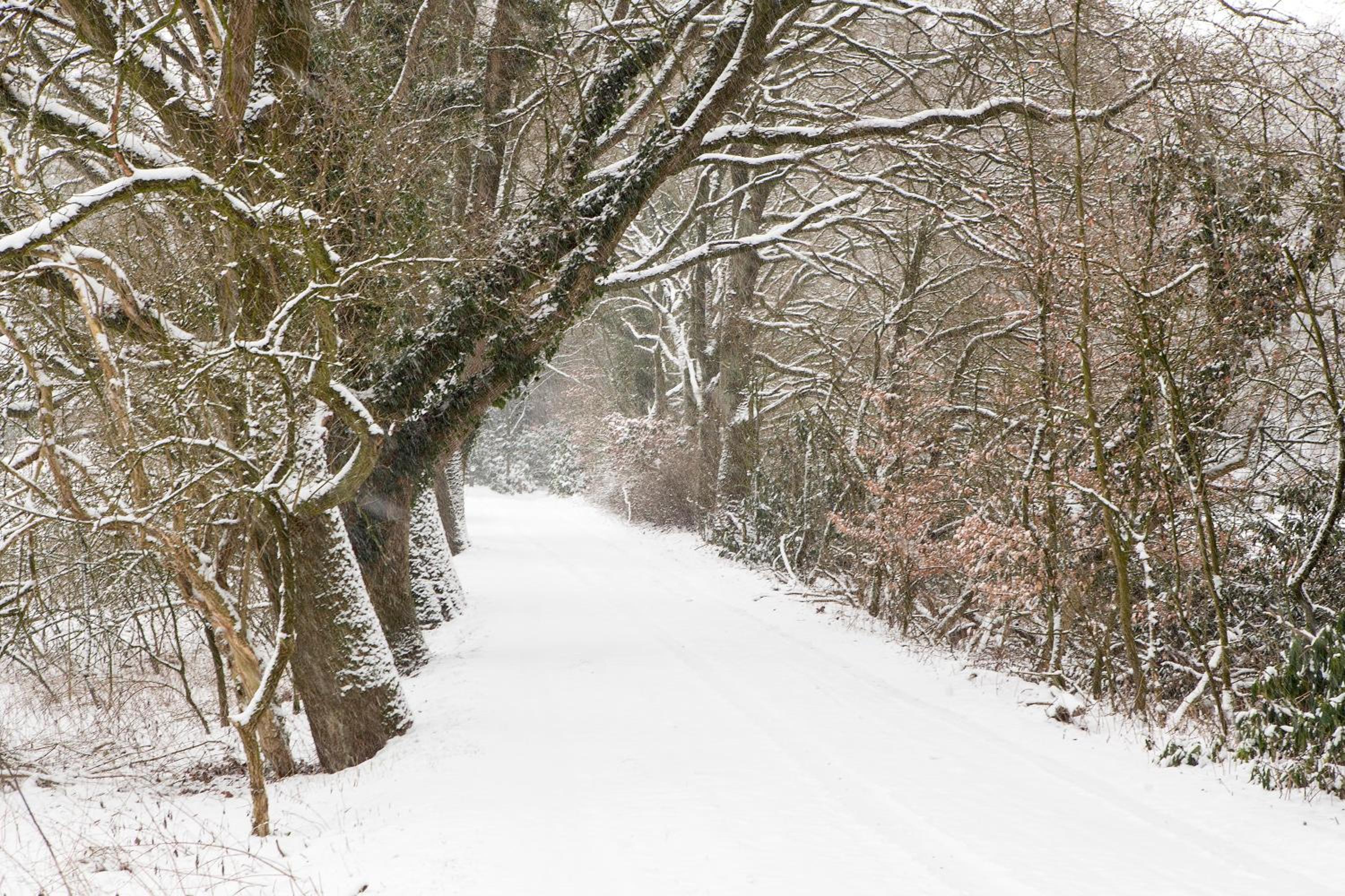 Hoeve Springendal