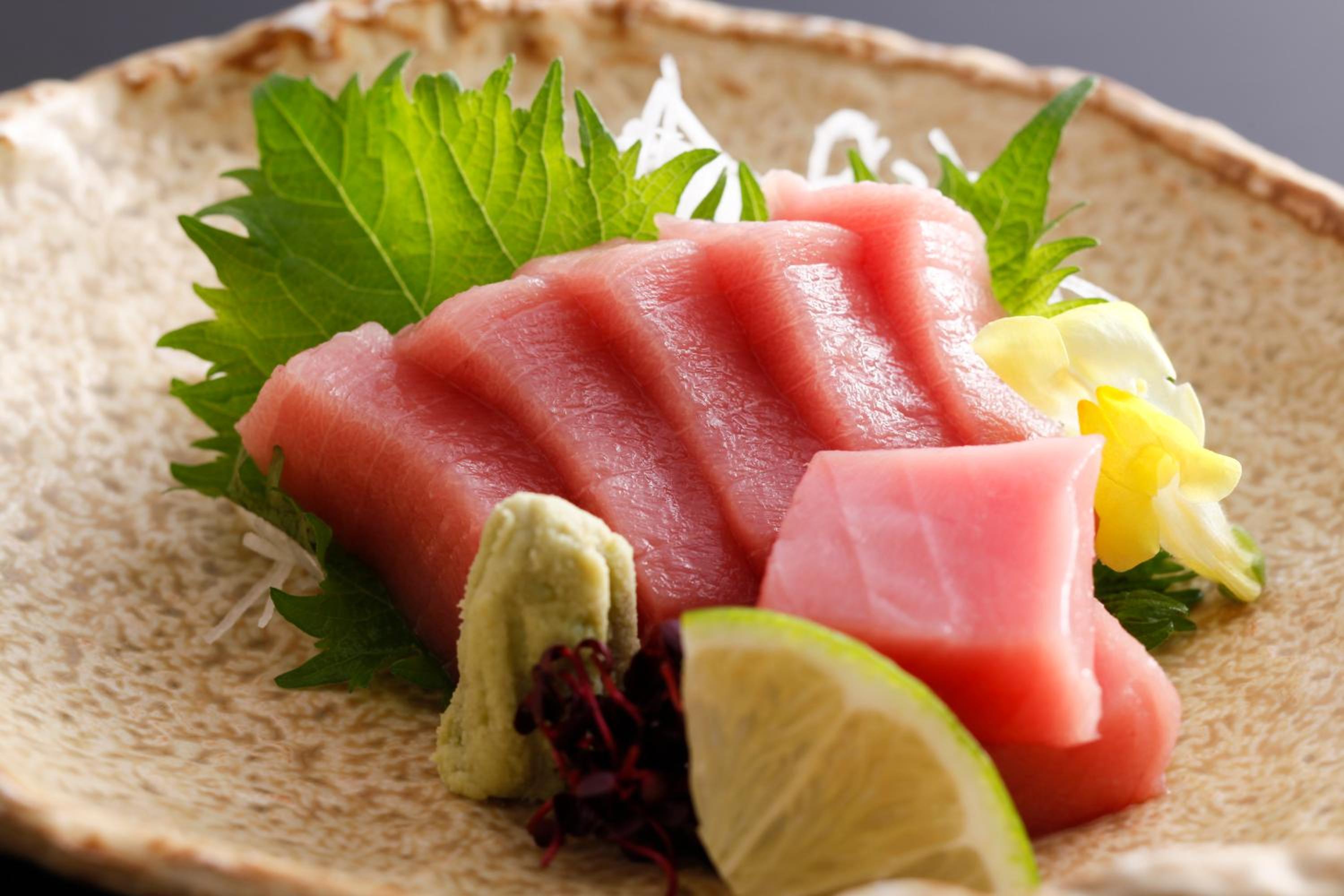 Sun Urashima Yuki no Sato