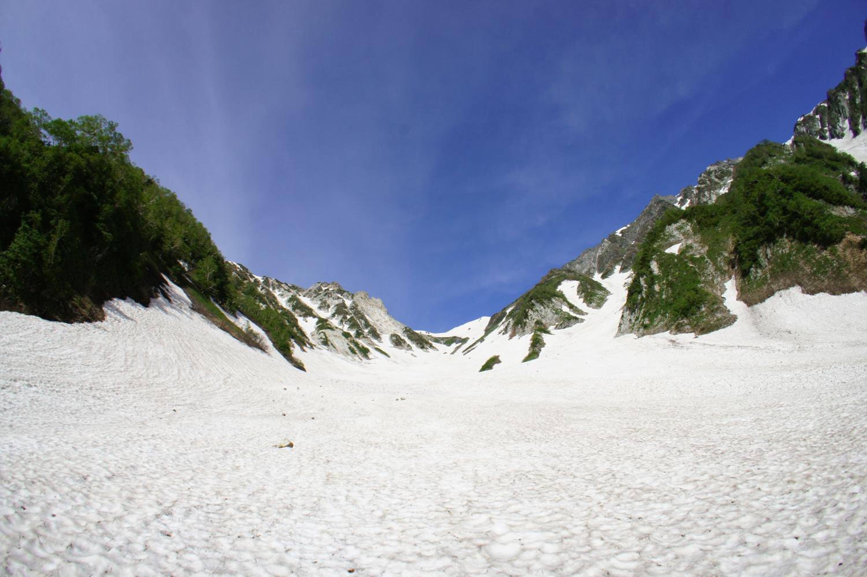 Schole Hakuba