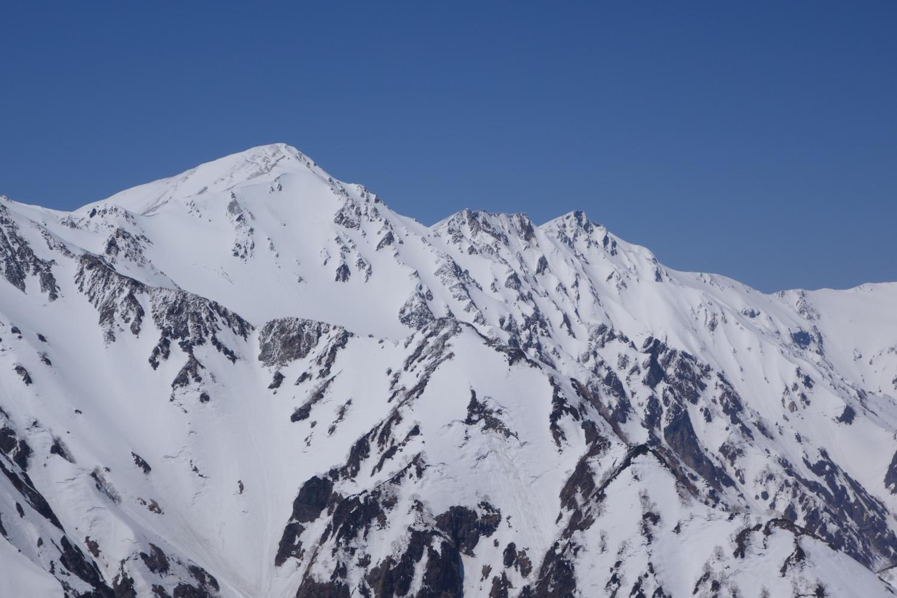 Schole Hakuba