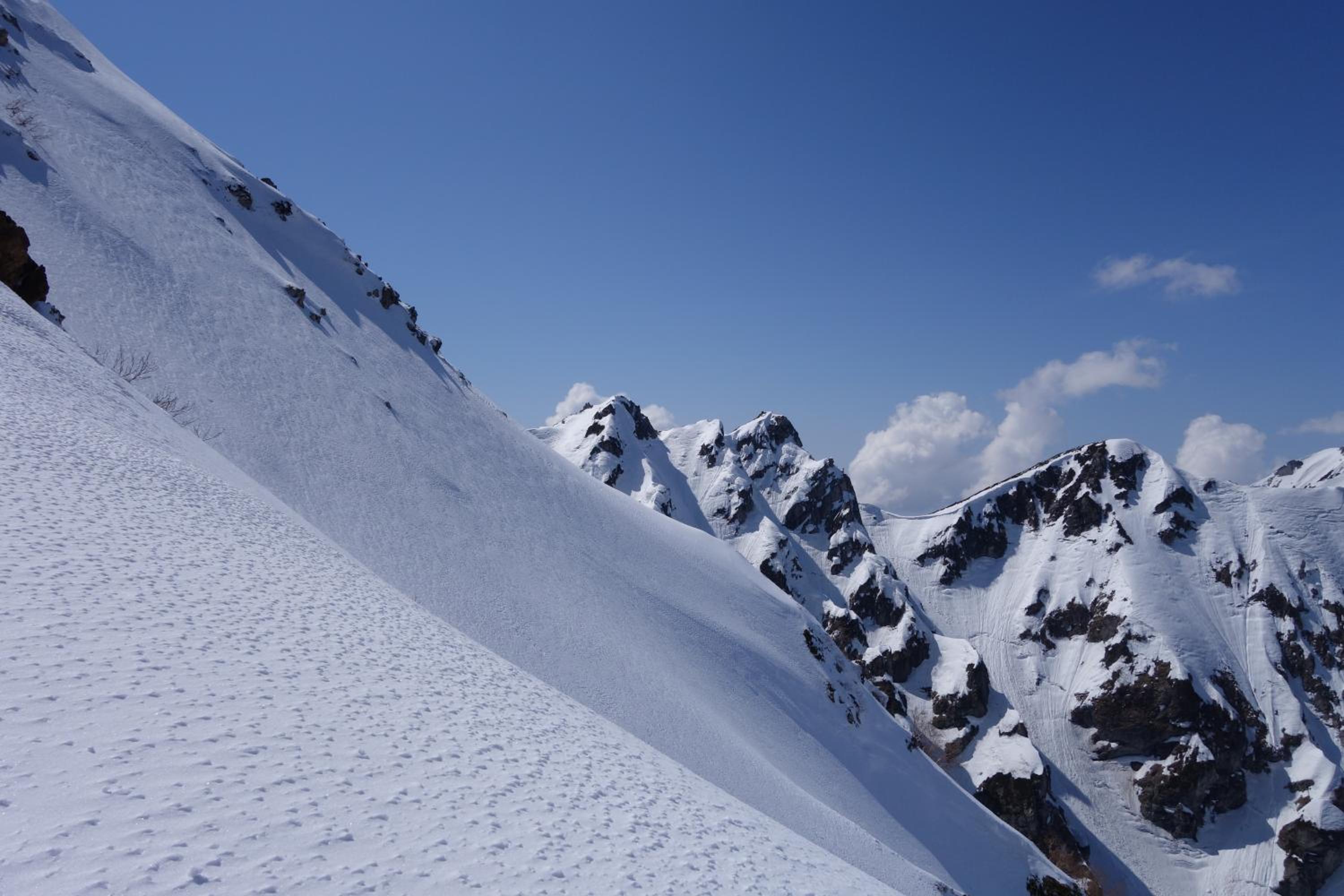 Schole Hakuba