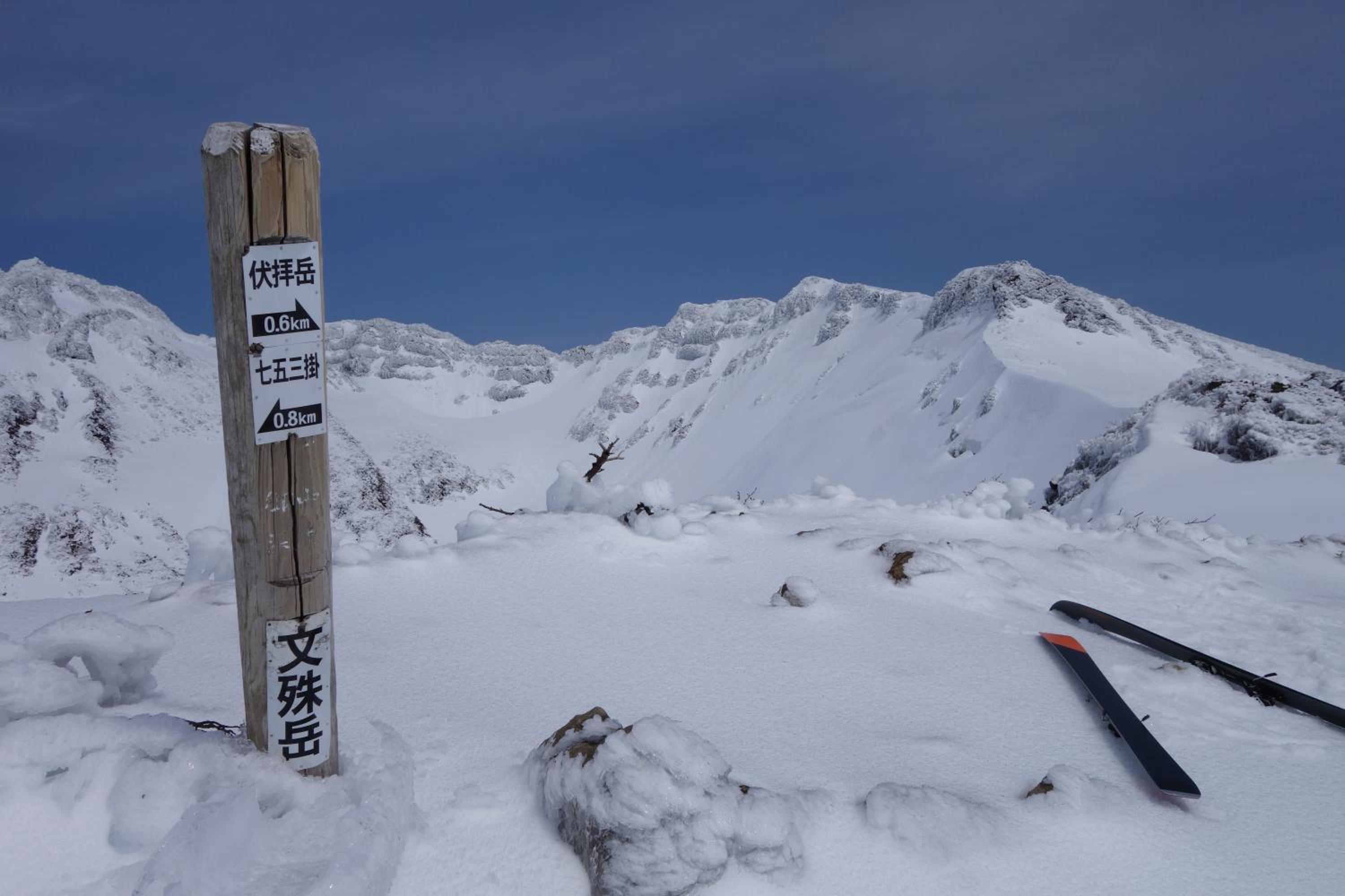Schole Hakuba
