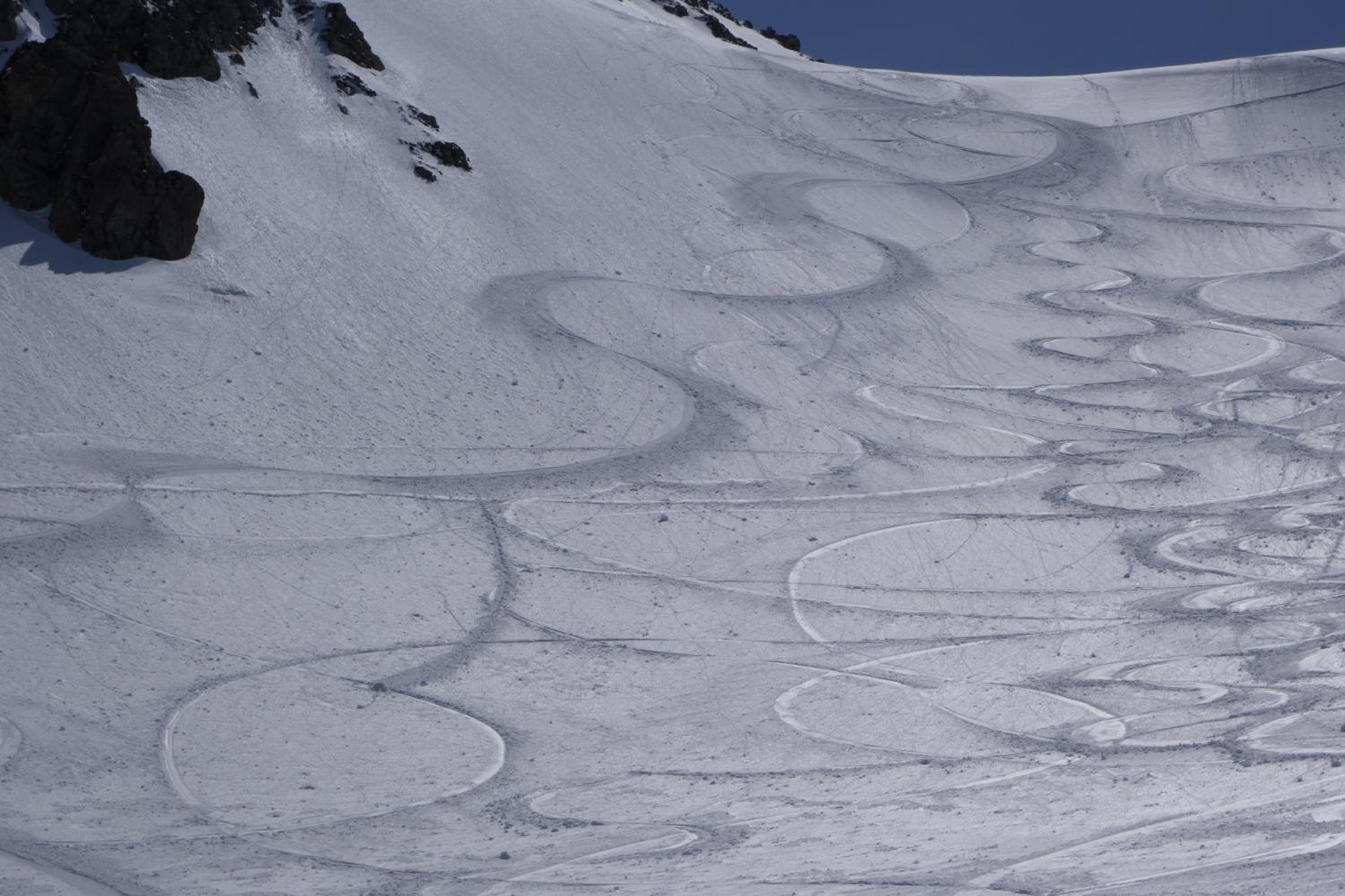 Schole Hakuba