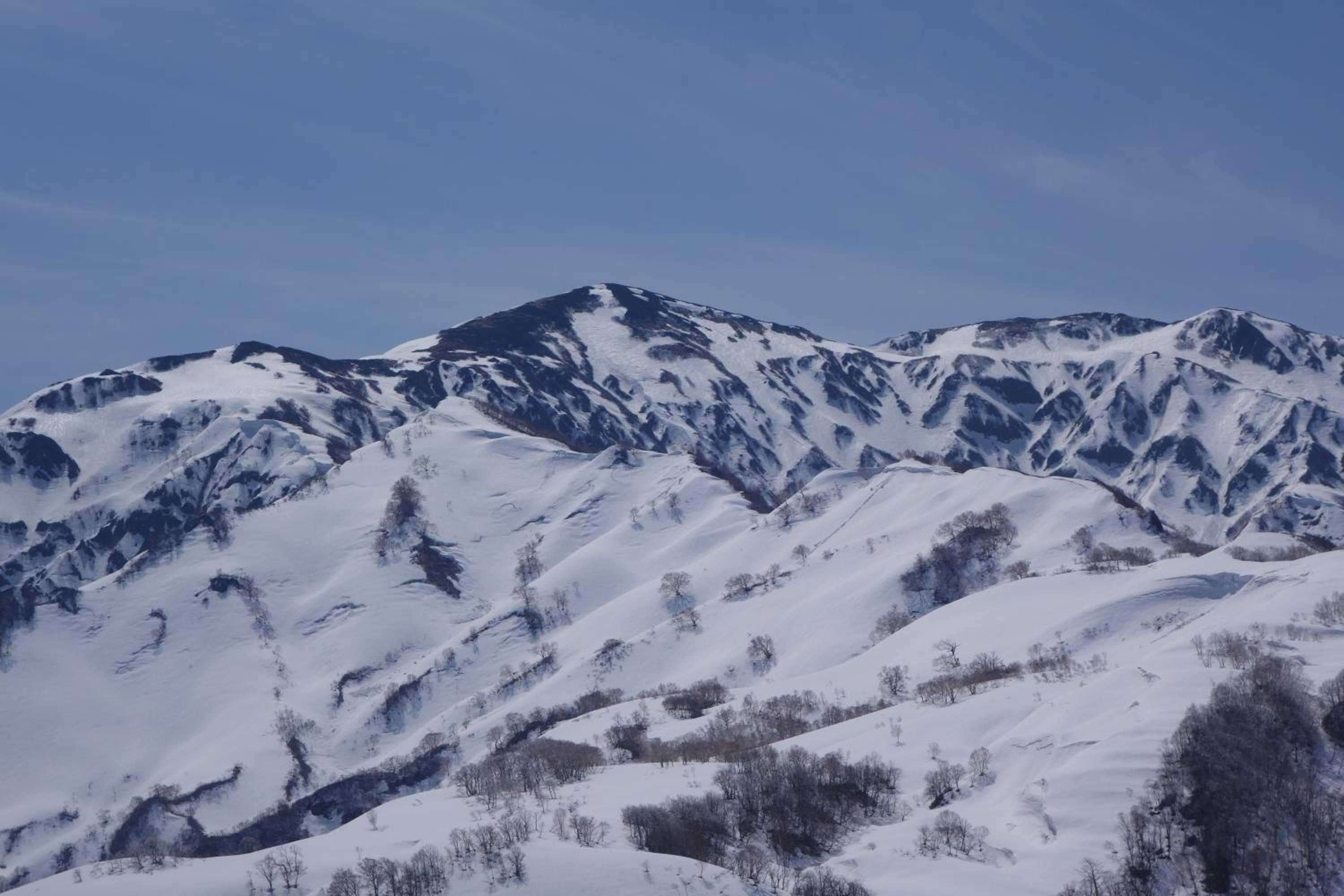 Schole Hakuba