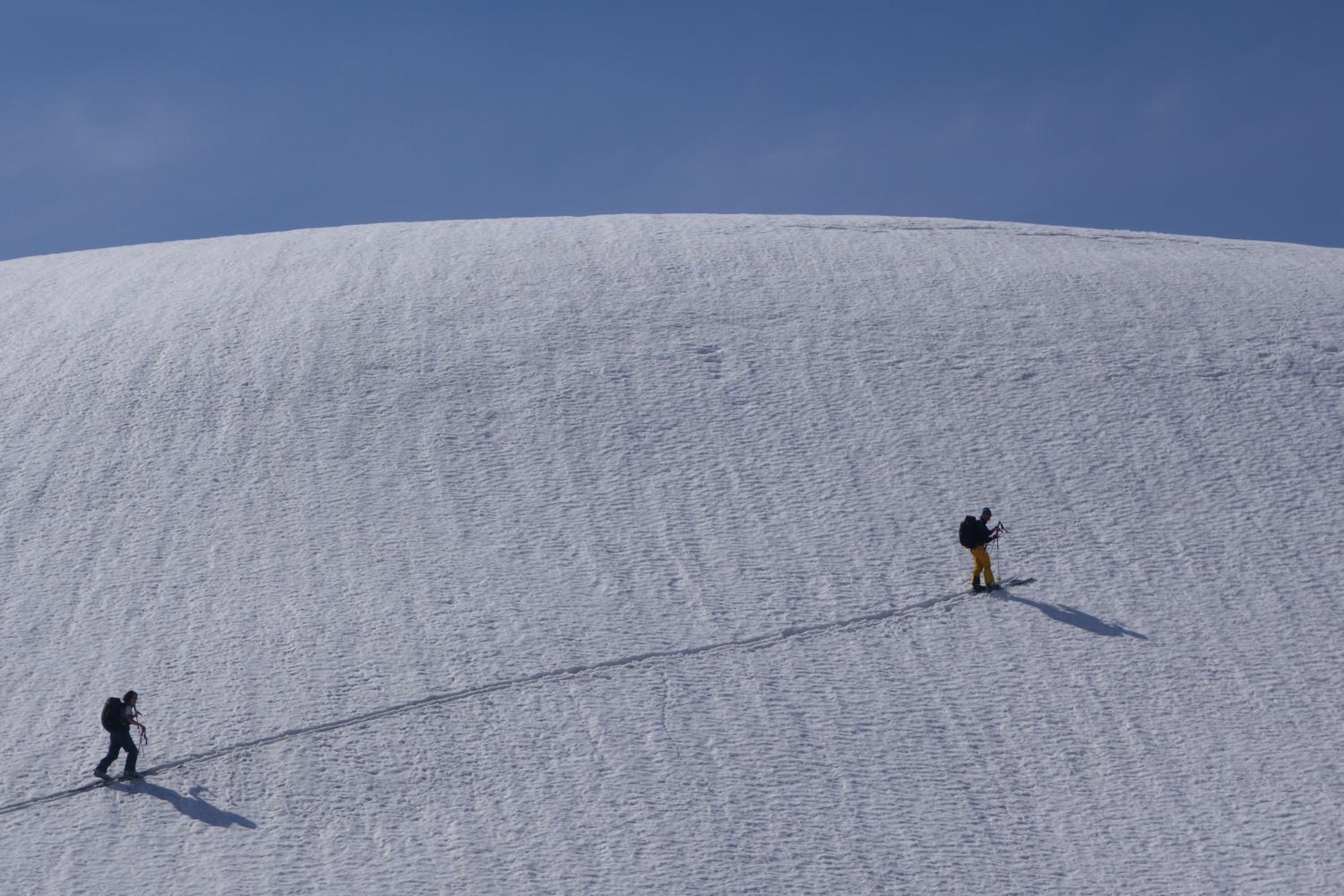 Schole Hakuba