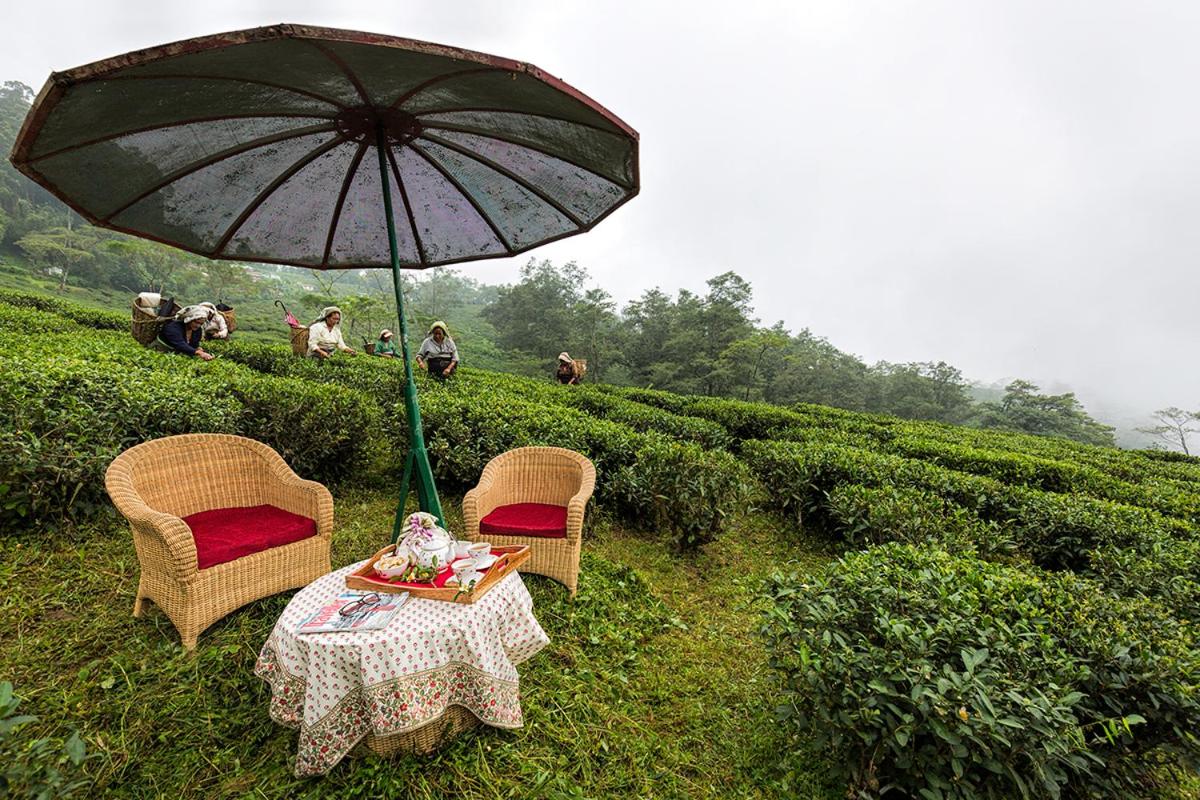 Ging Tea House