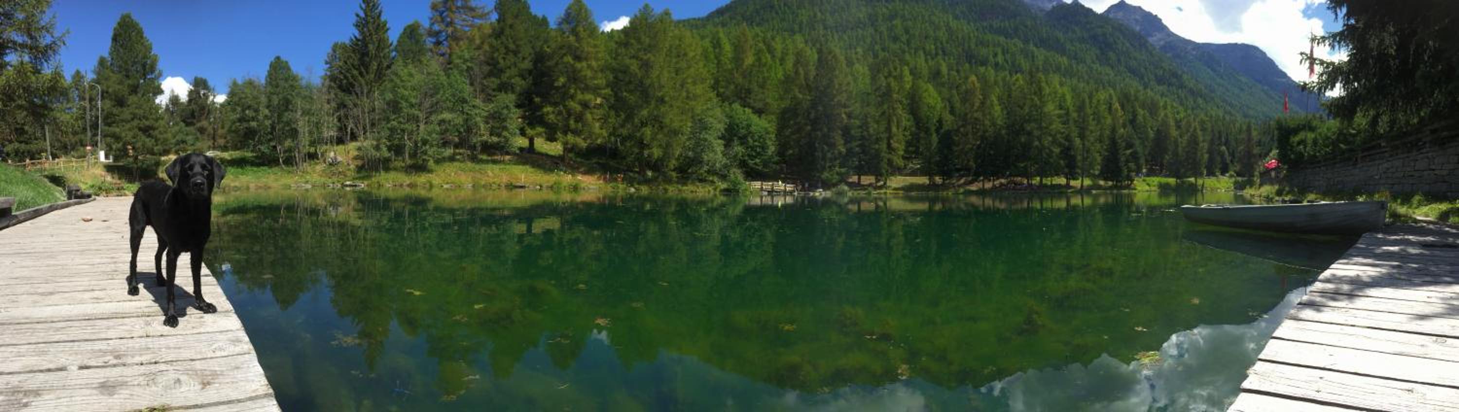 Chalet Safran