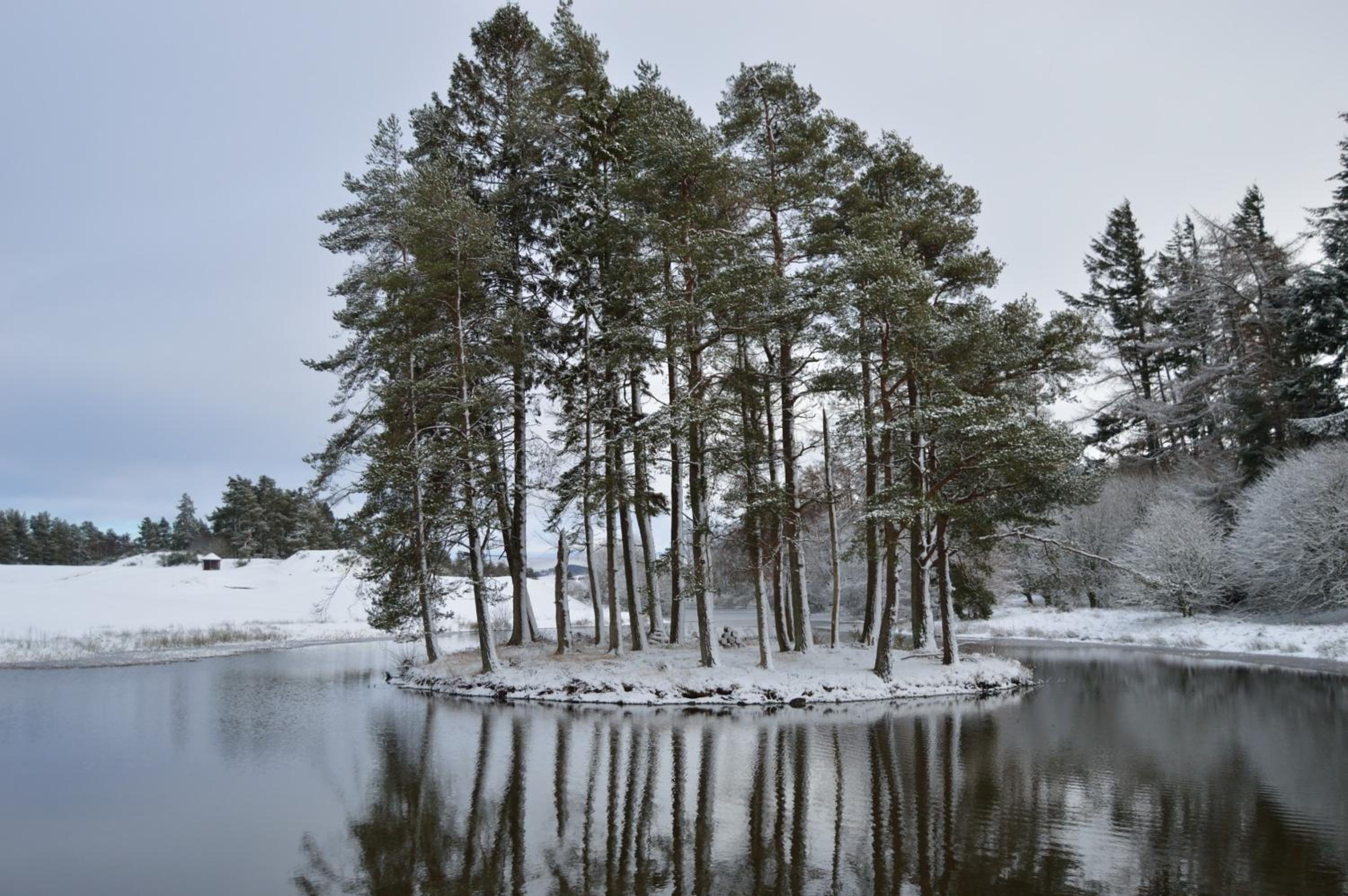 The Pines - Luxury 3-Bed Apartment Near Golf & Spa, Gleneagles, Auchterarder