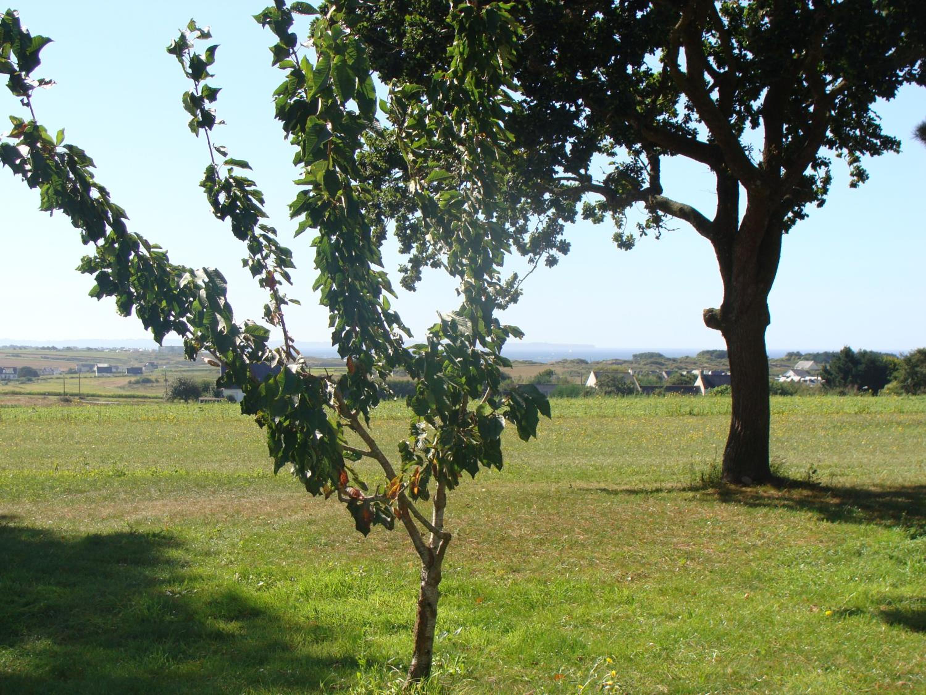 Les Logis de Kerdrien