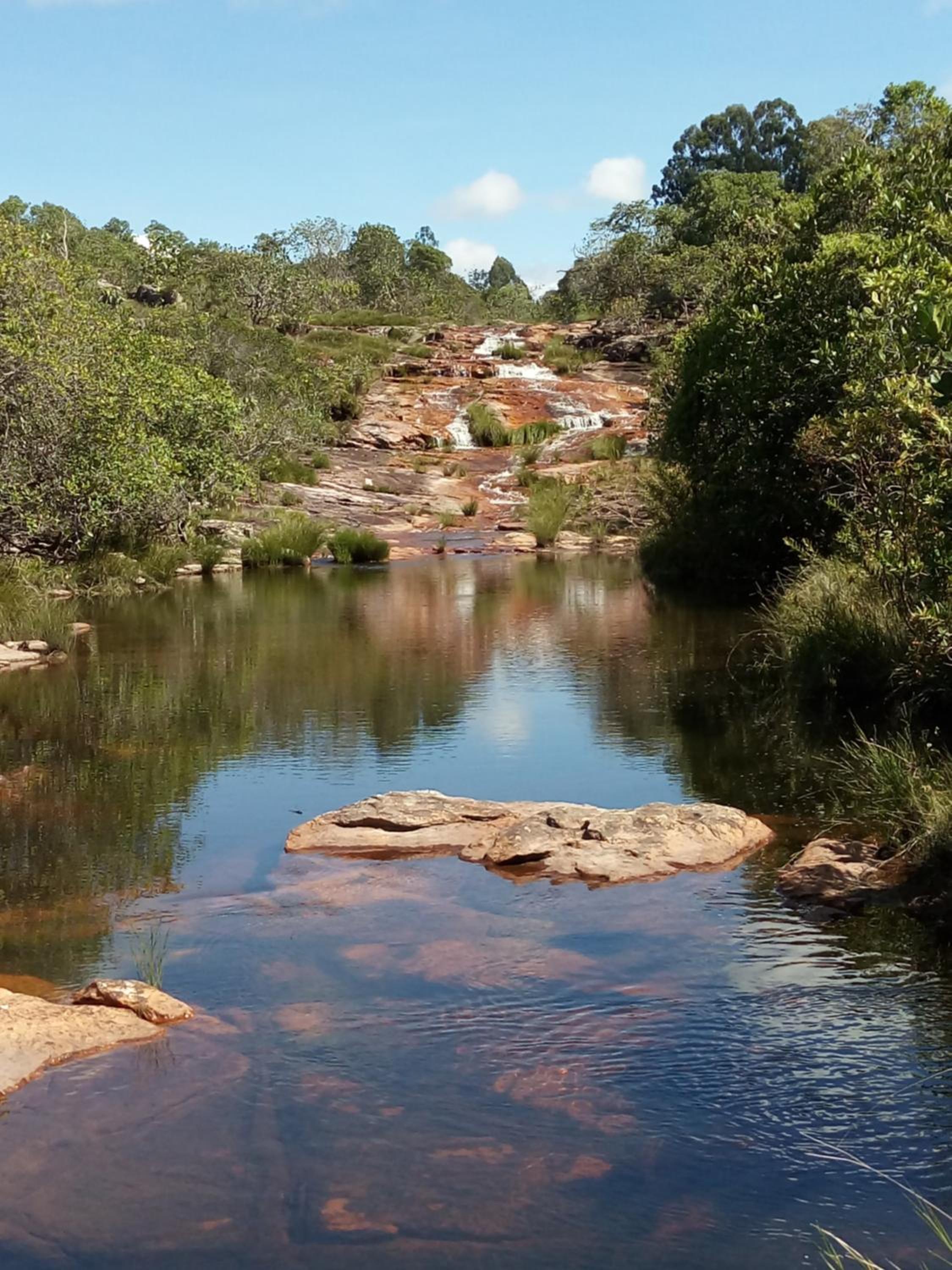 Fazenda Rosmaninho