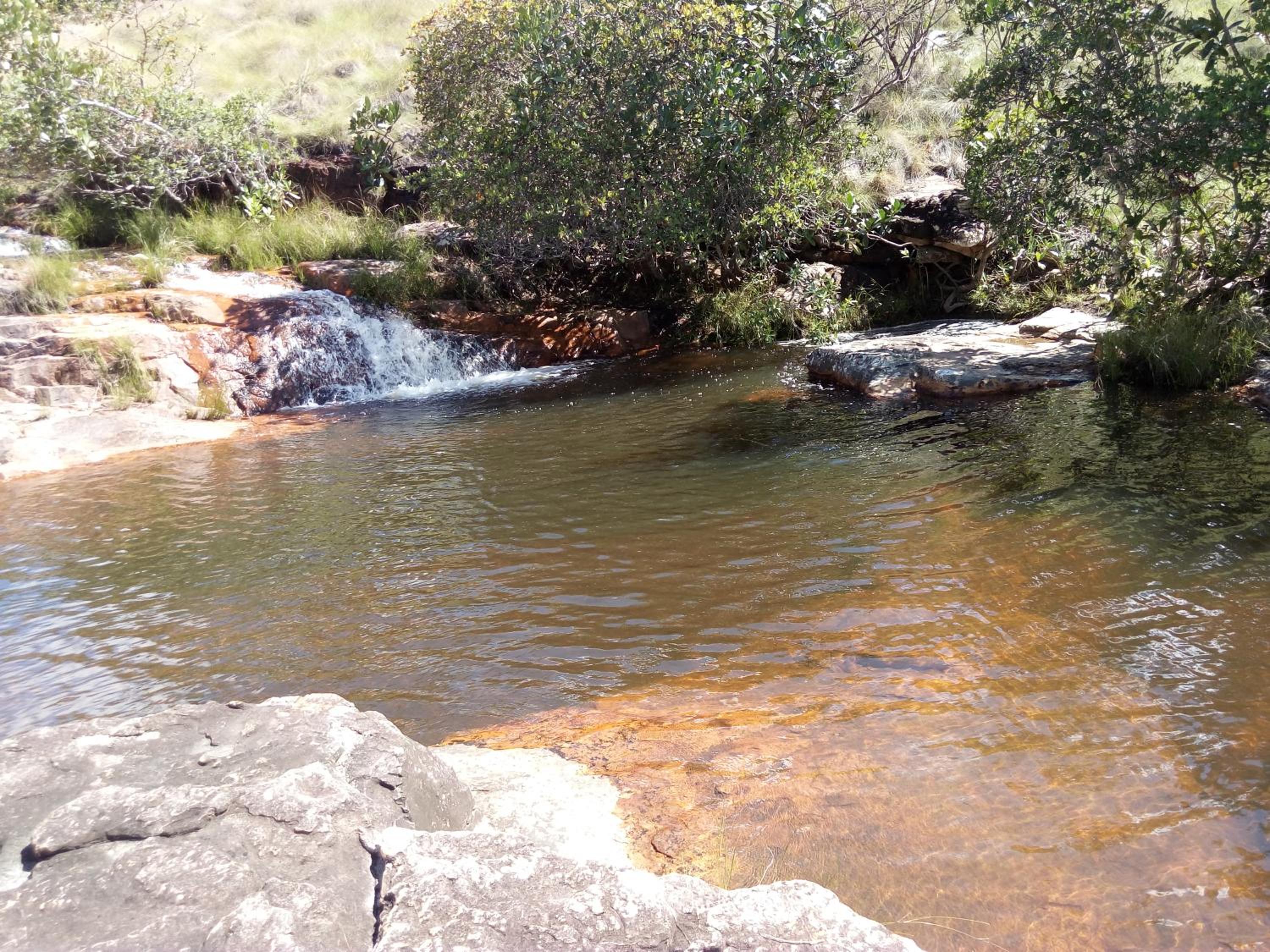 Fazenda Rosmaninho