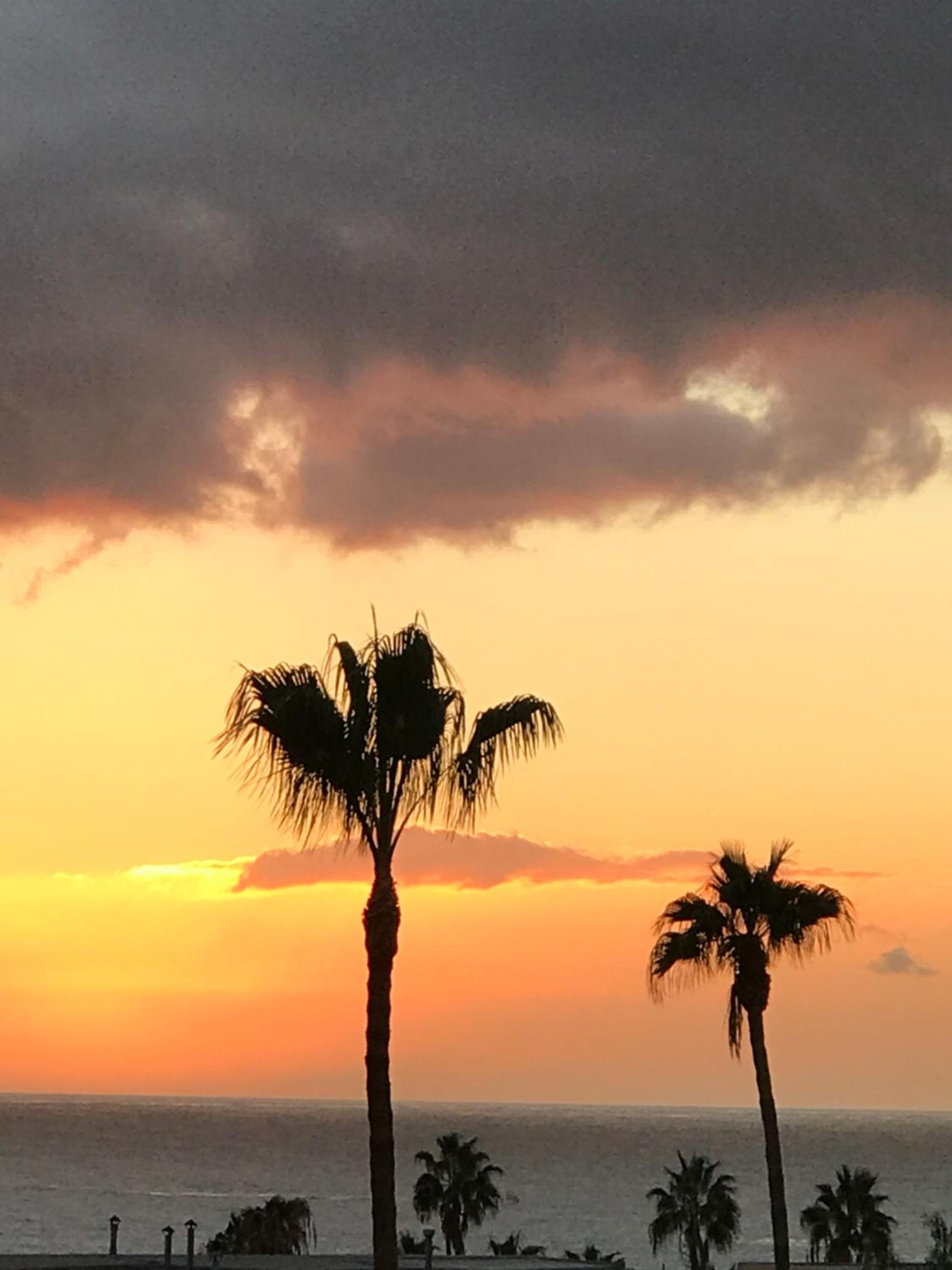 Apartments in Tenerife view 4