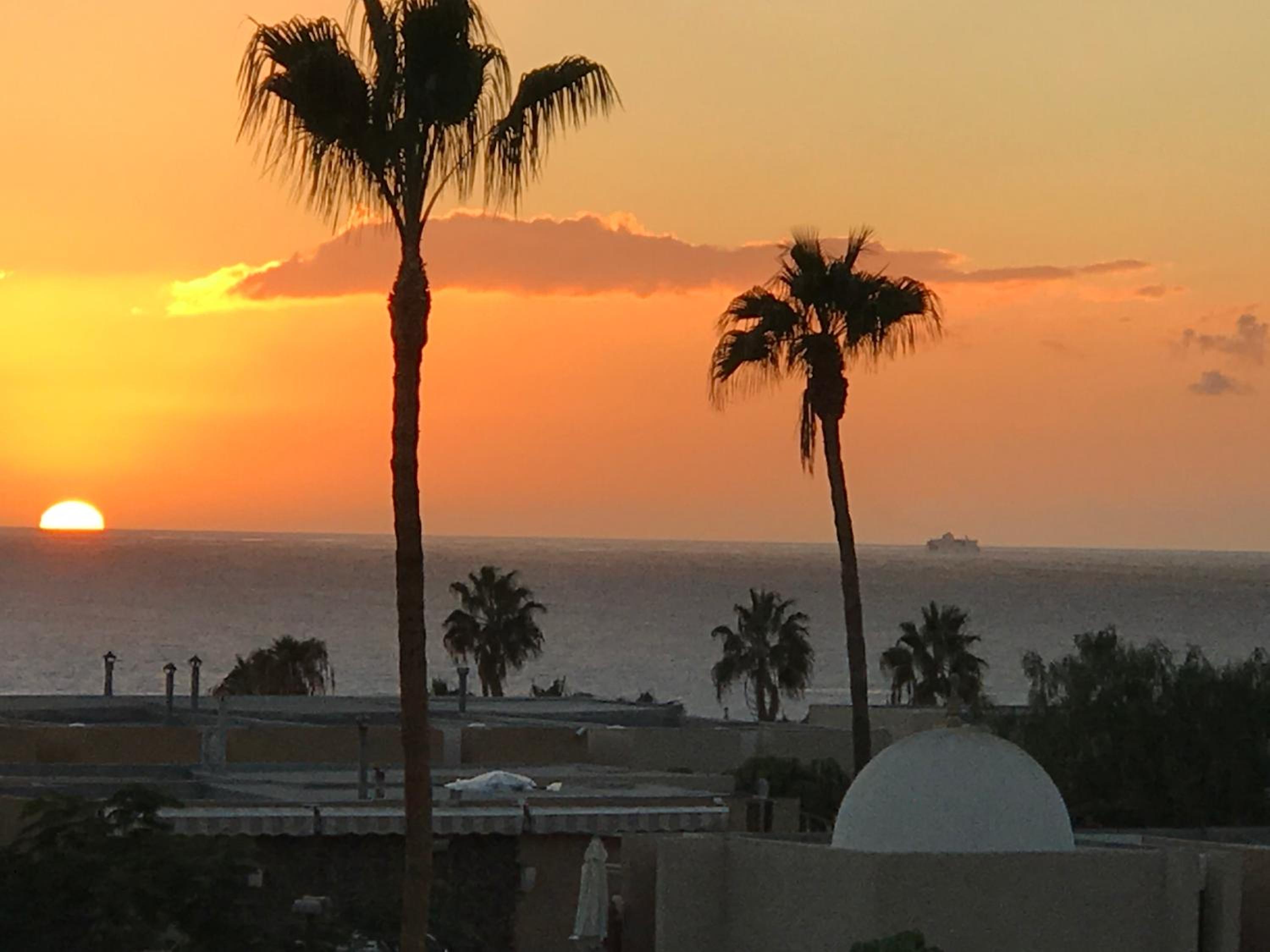 Apartments in Tenerife view 5
