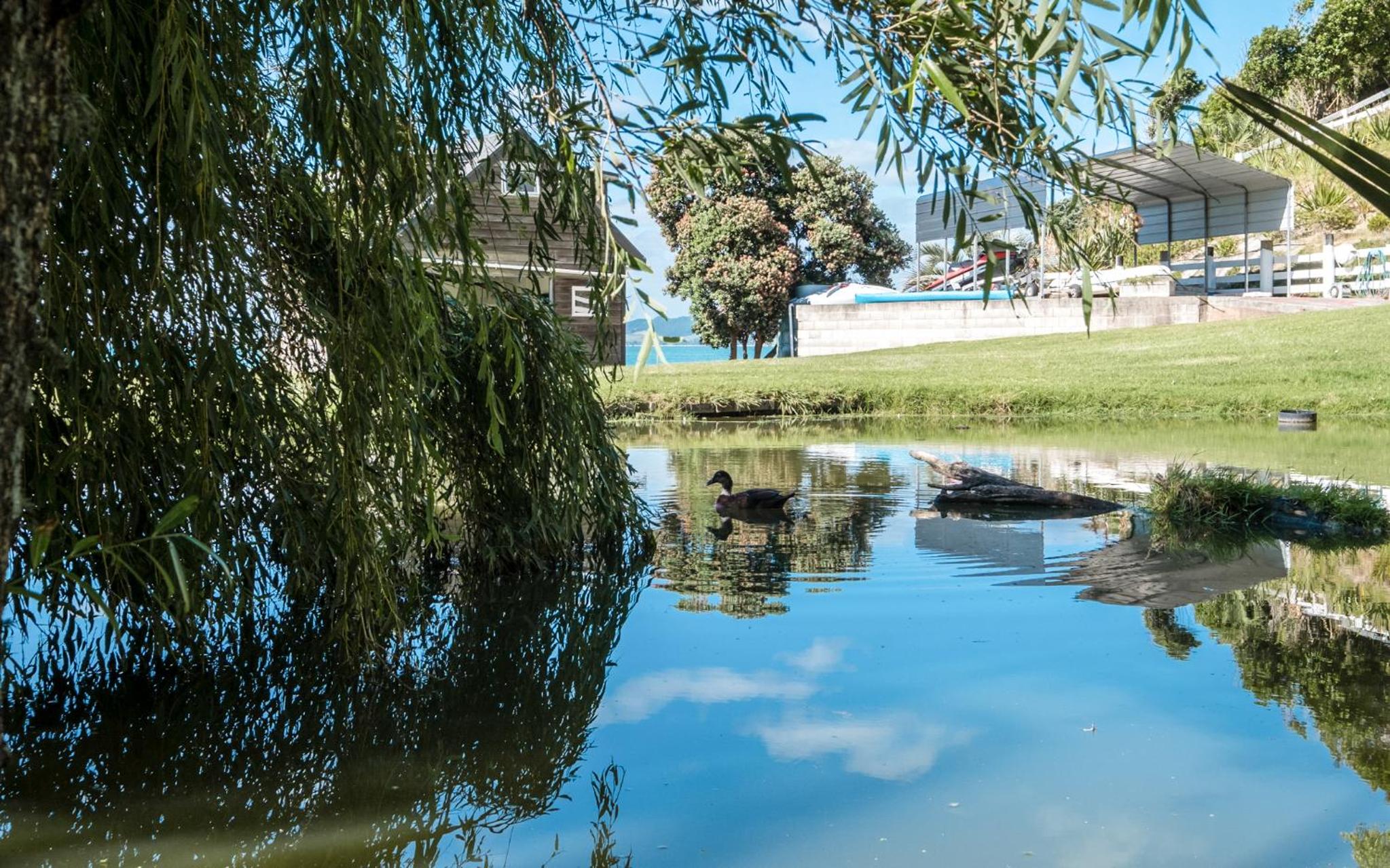 Waiheke Waters Edge view 4