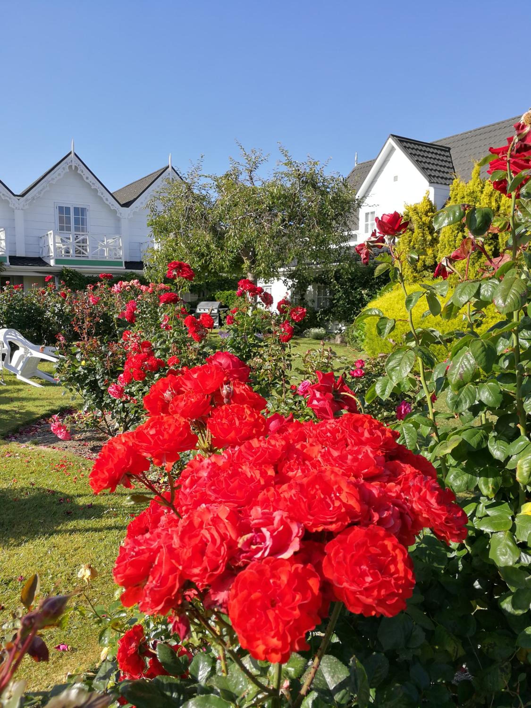 Phoenix Thermal Resort - Taupo