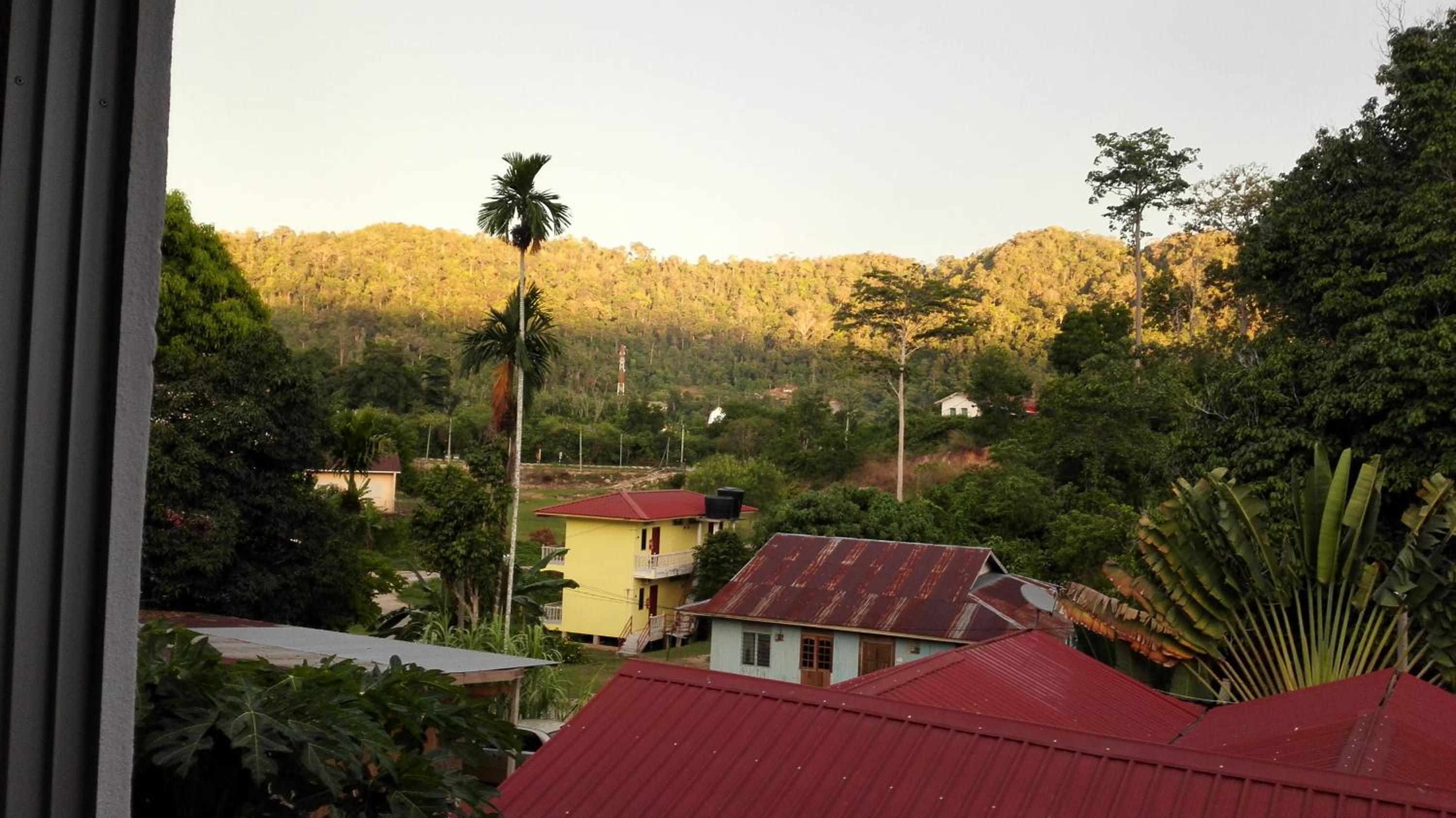TEBiNG Guest House Taman Negara Malaysia Kuala Tahan photo 6