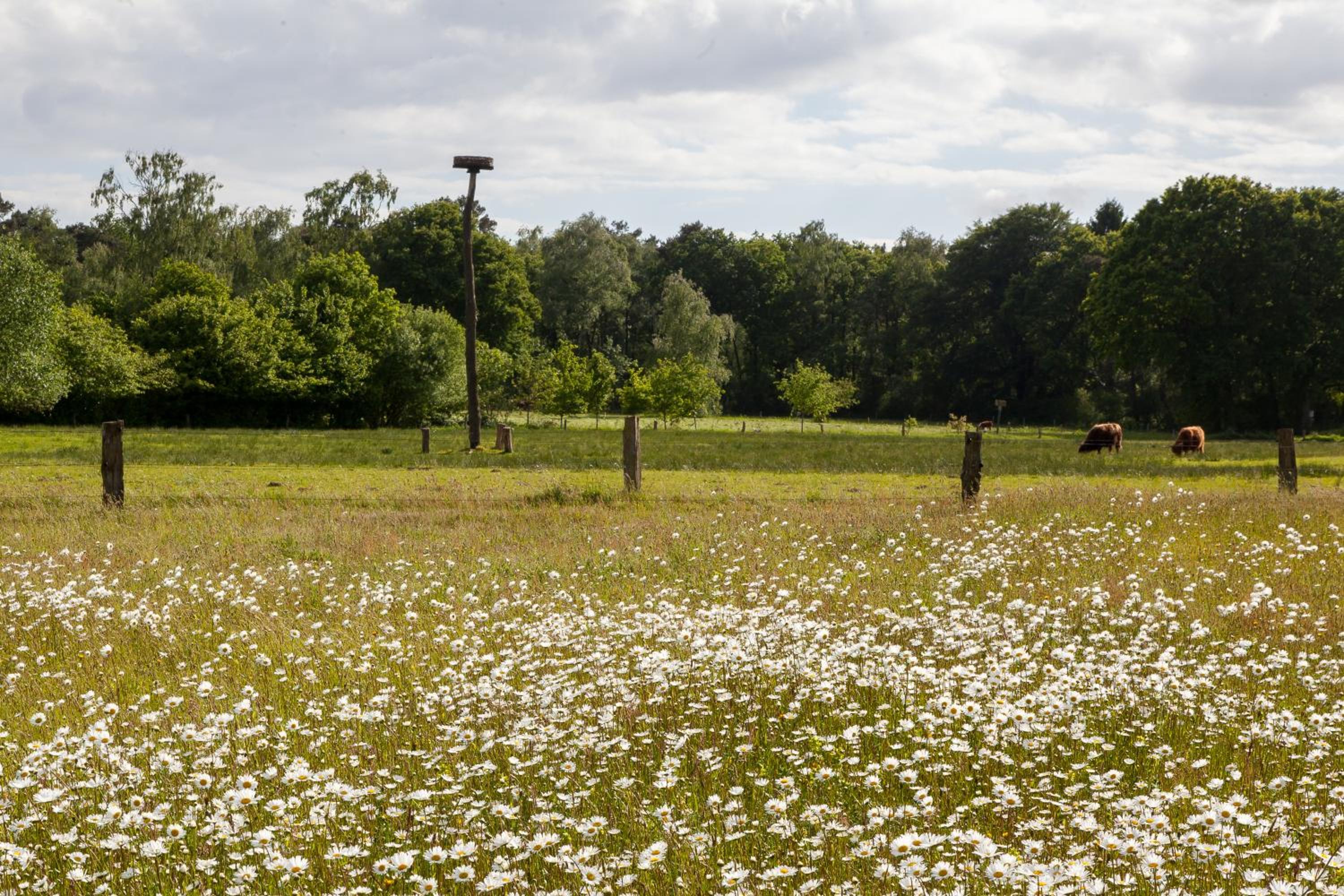 Hoeve Springendal
