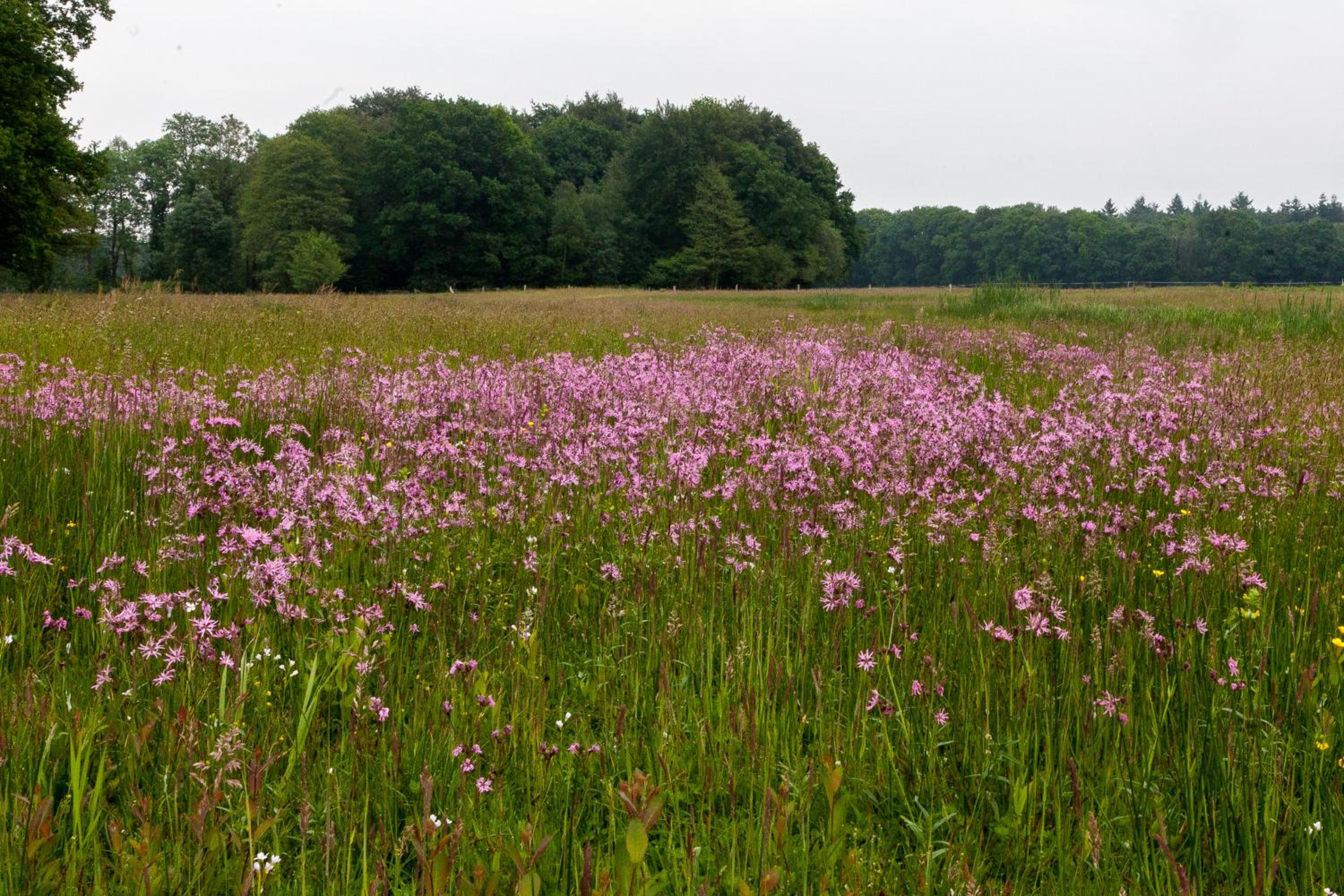 Hoeve Springendal