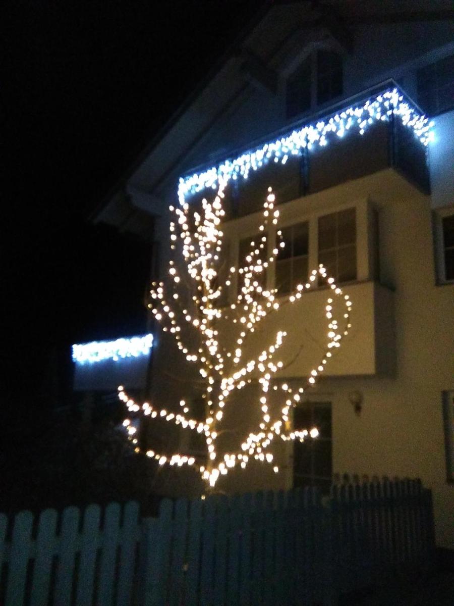 Photo 59