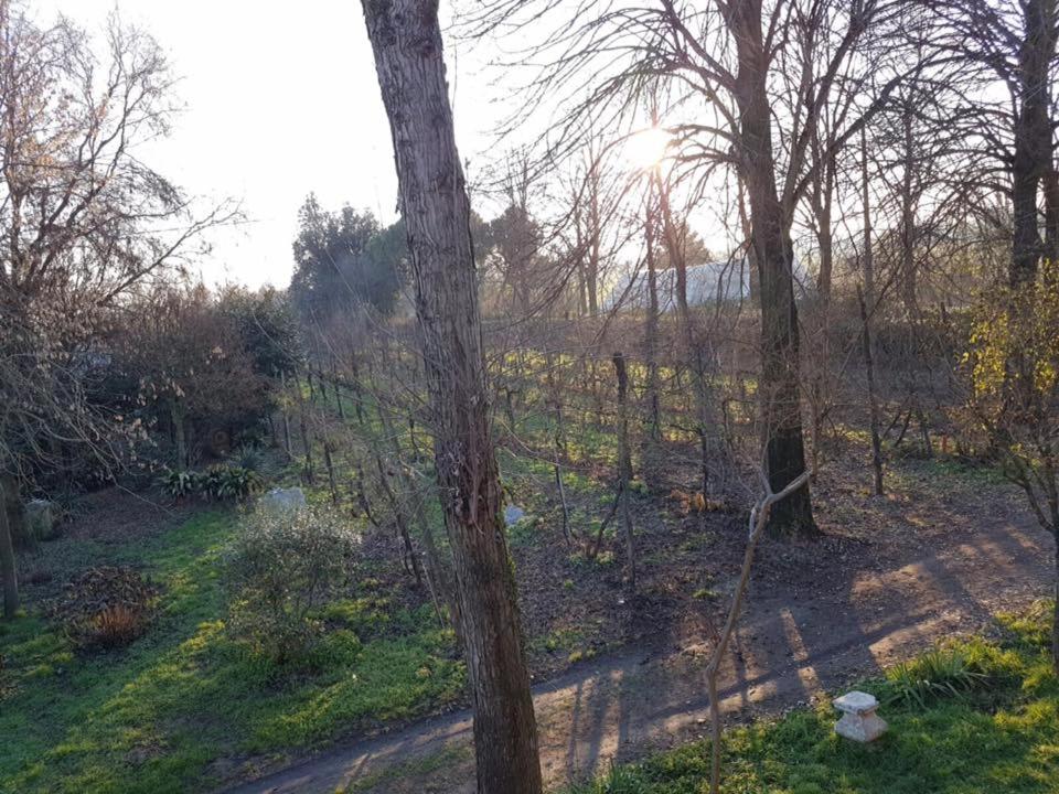 Agriturismo Villa Mocenigo