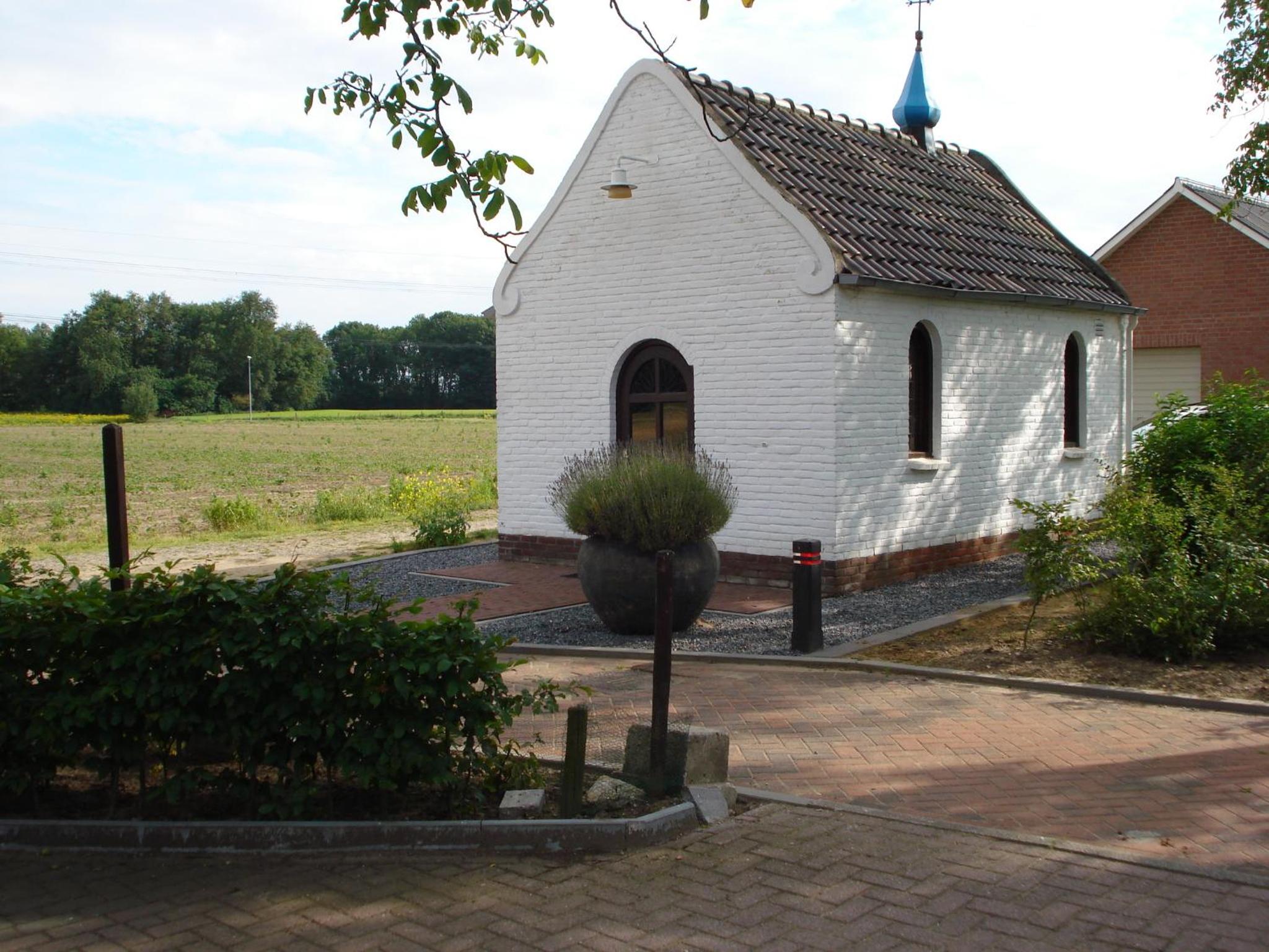 Photo 54