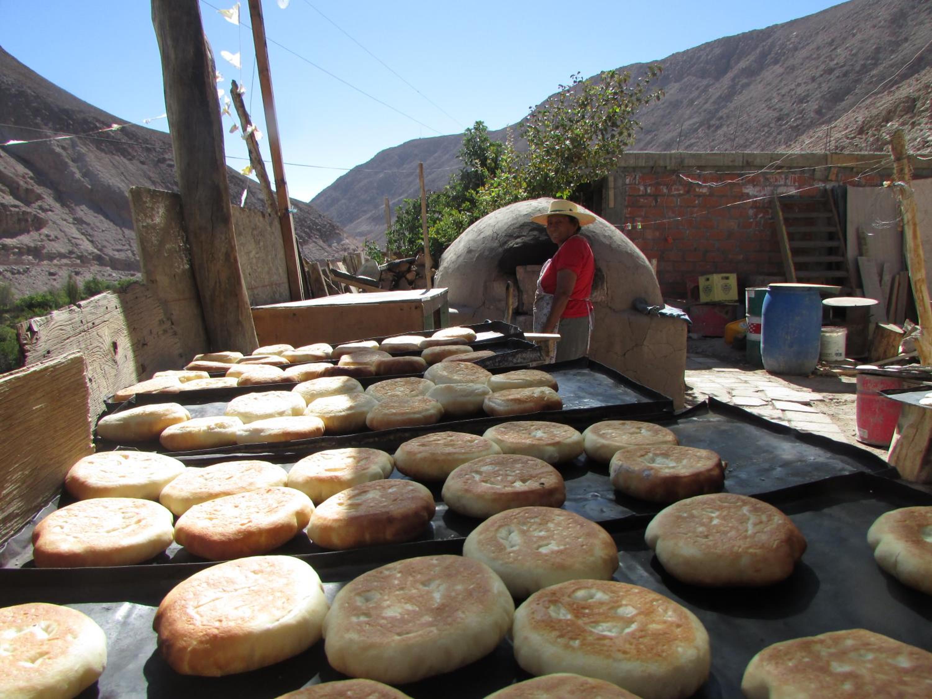 Cabañas Turísticas Guañacagua - Valle de Codpa