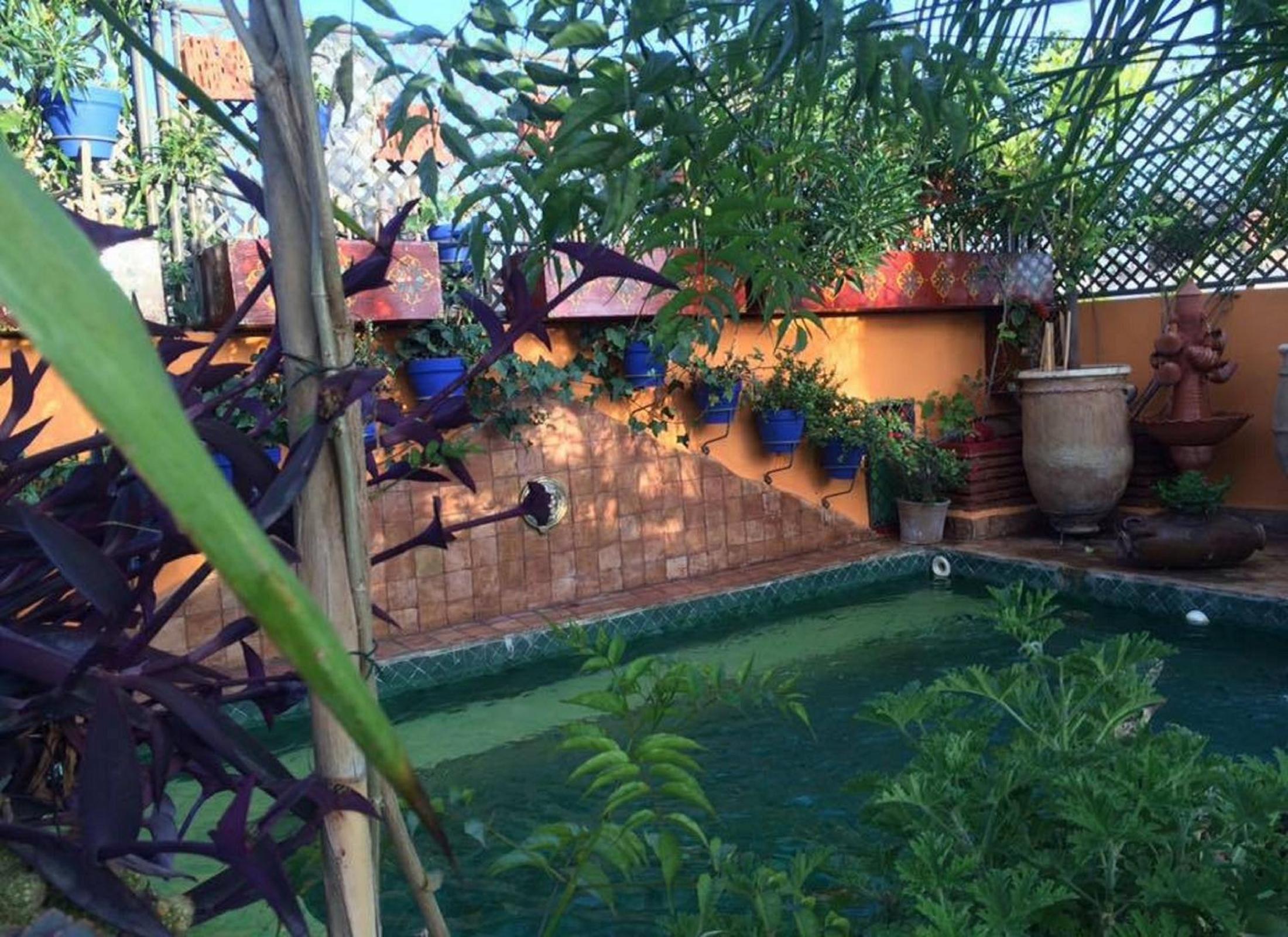Riad Laith