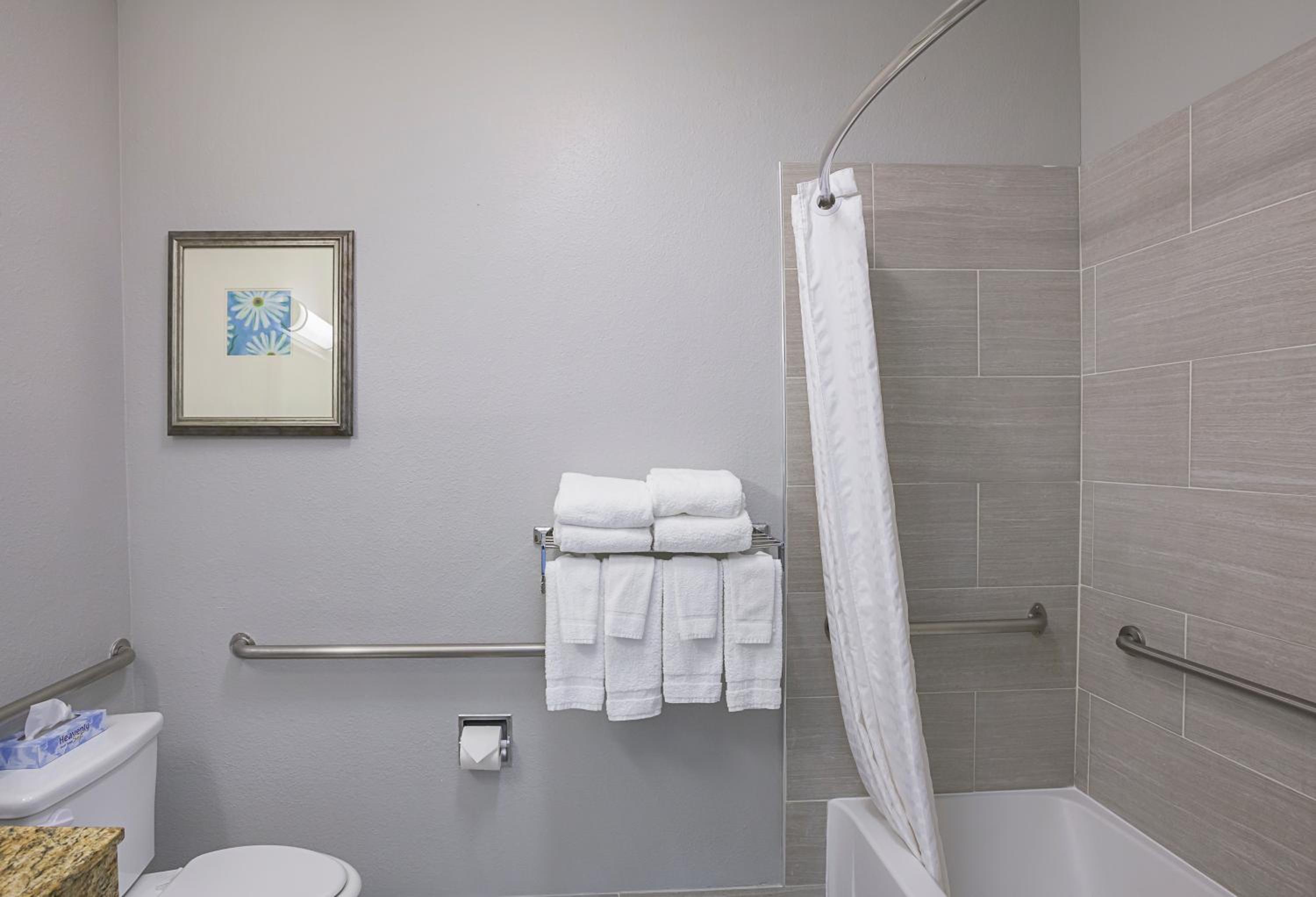Country Inn Suites by Radisson, Lewisville, TX - Property Image 71