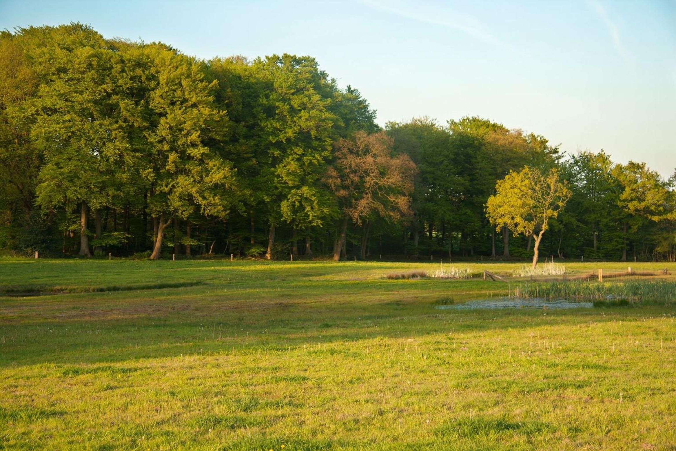 Hoeve Springendal