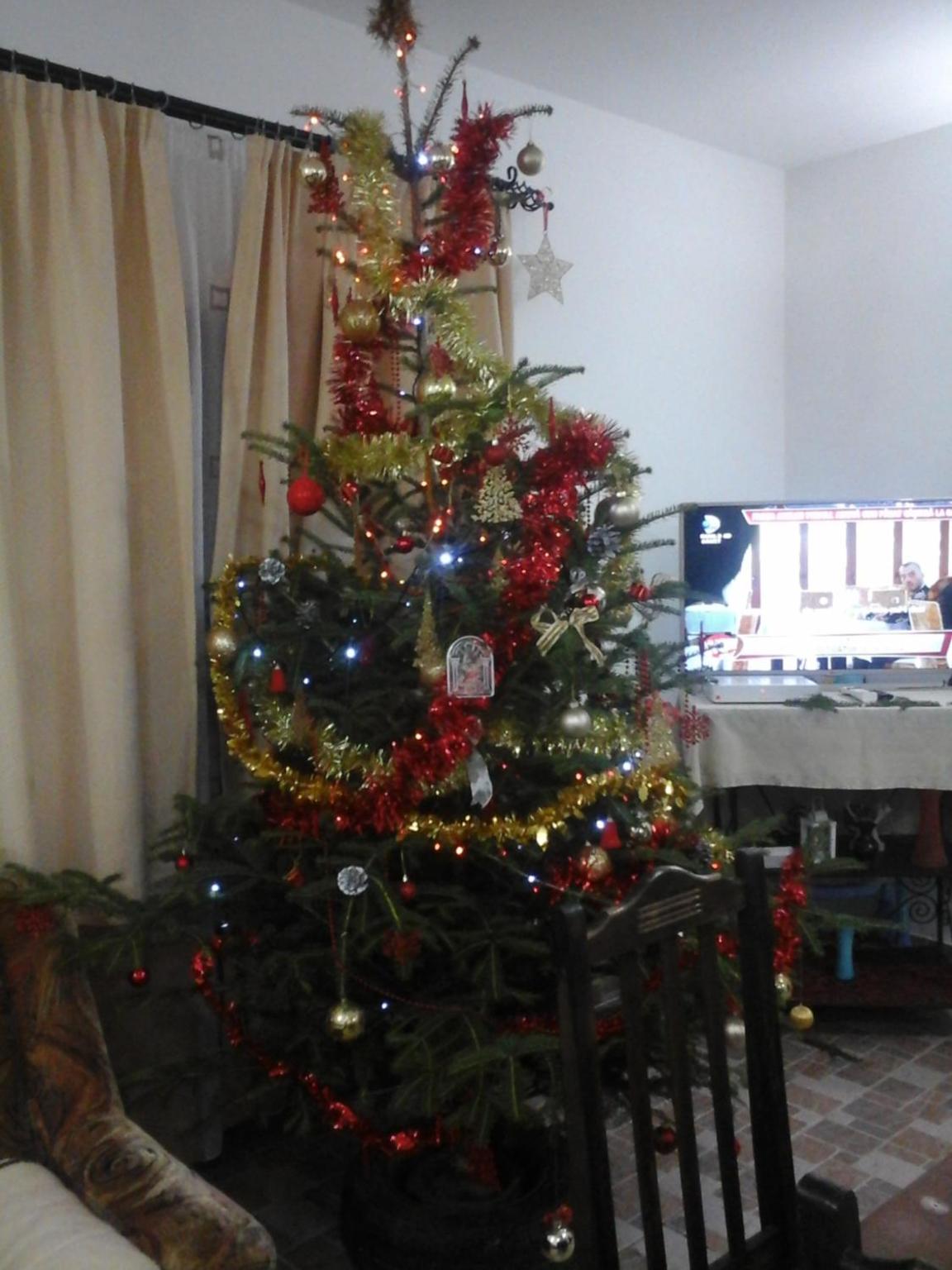 Photo 31
