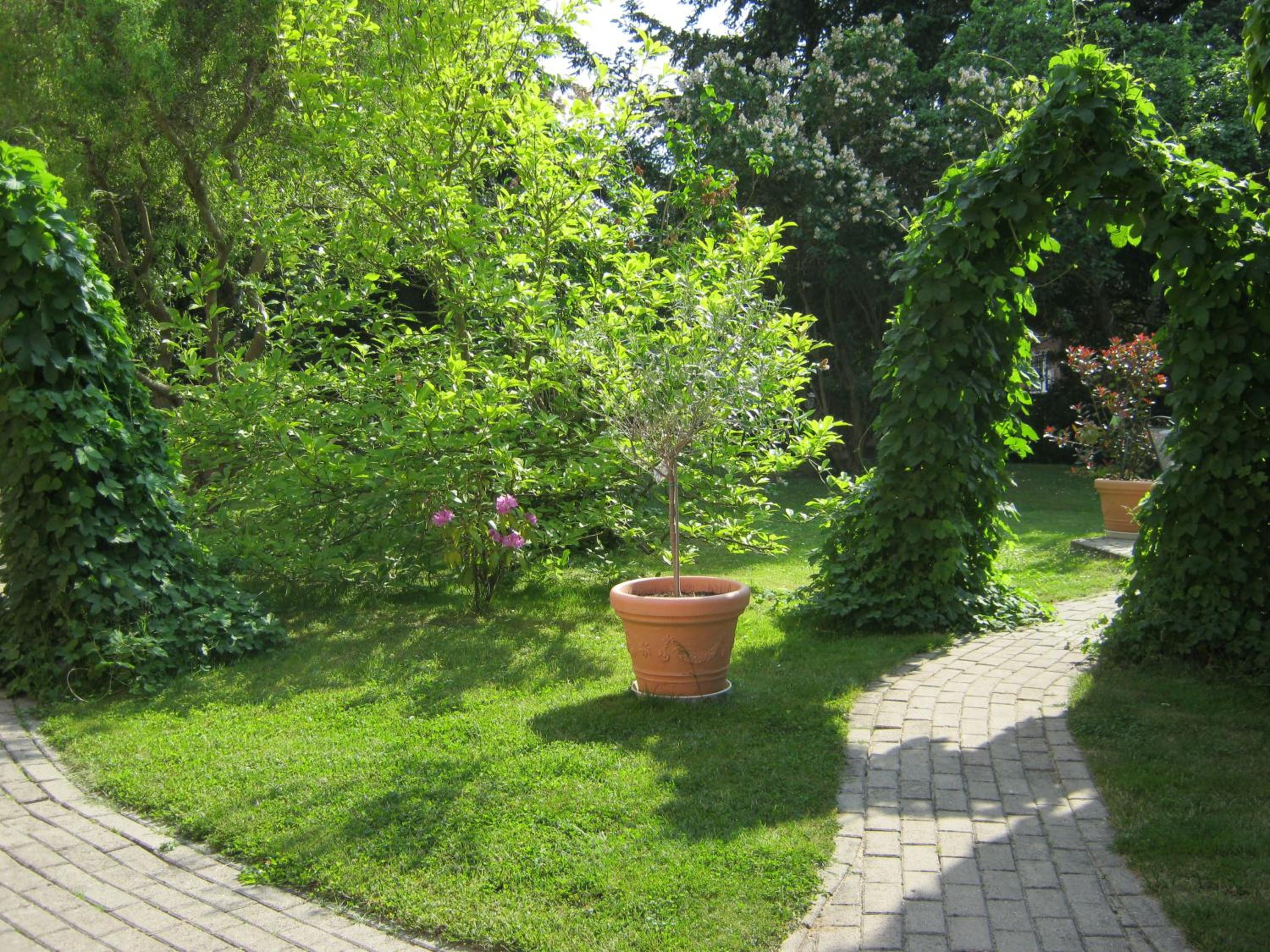 Photo 33