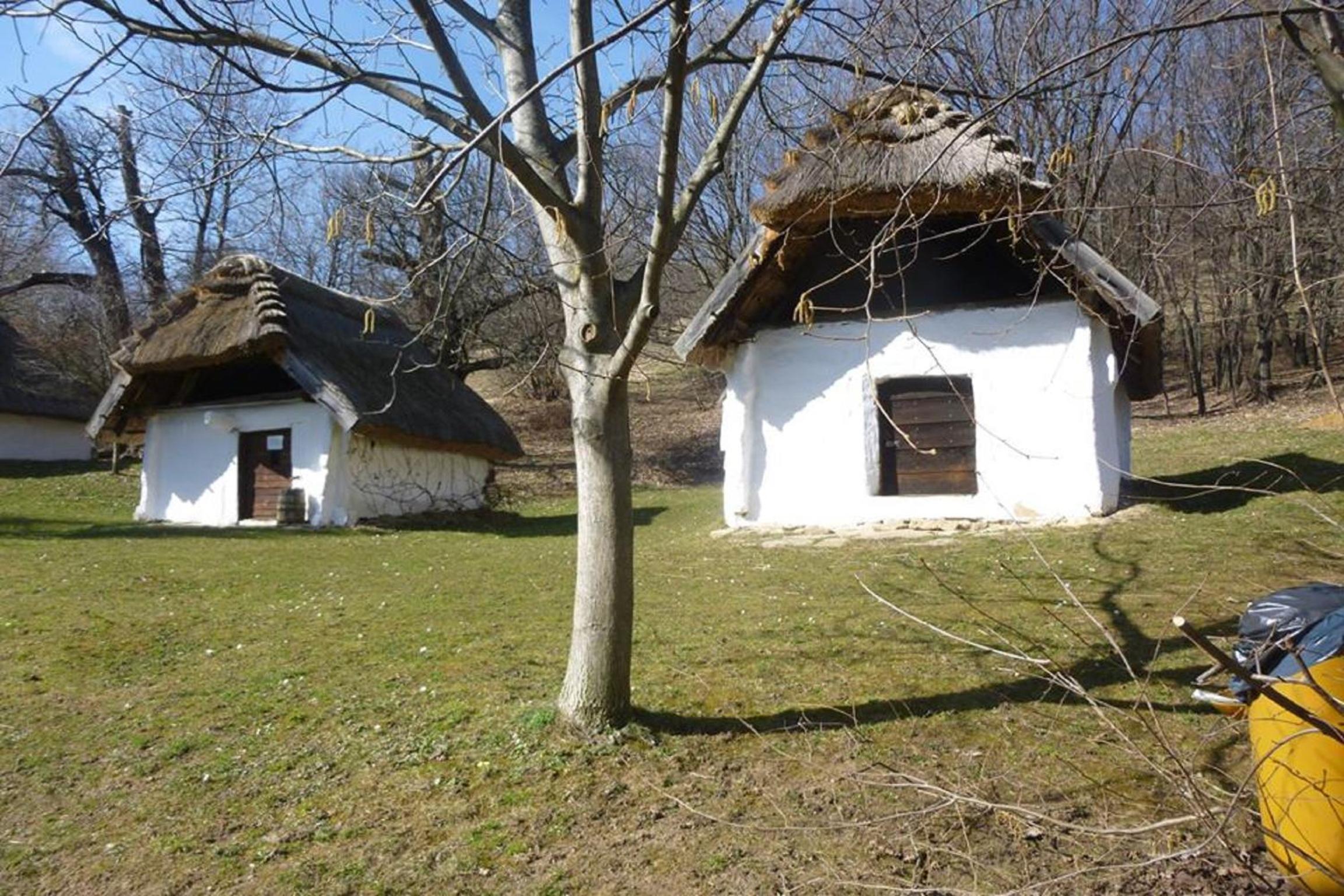 Vadszőlő Vendégház view 2