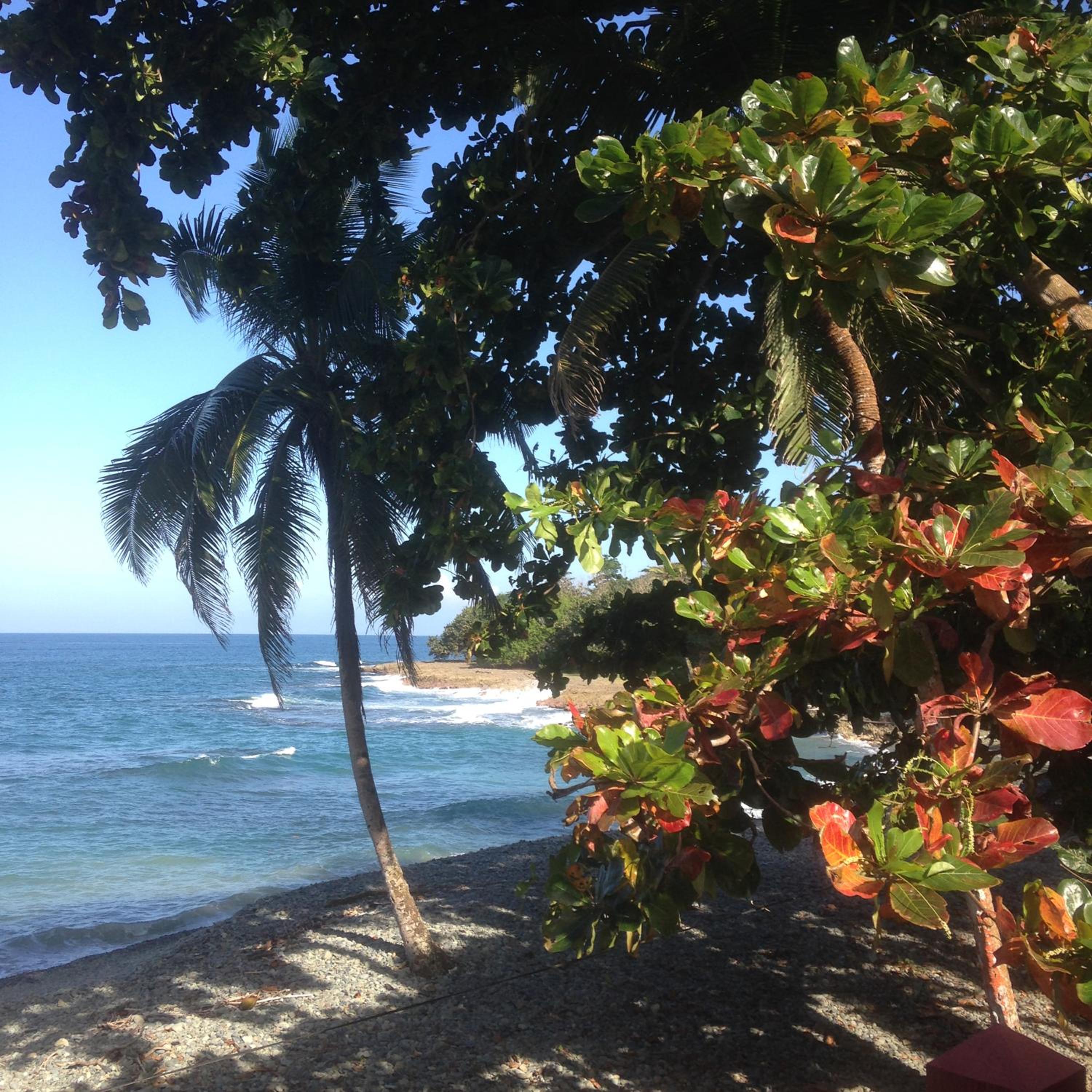 Finca El Regalo