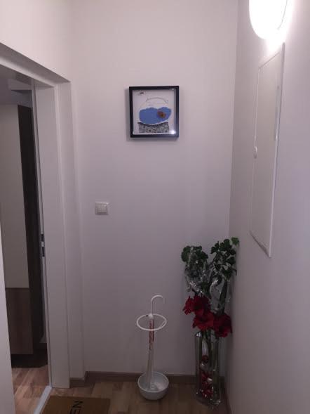 Apartment Mischa