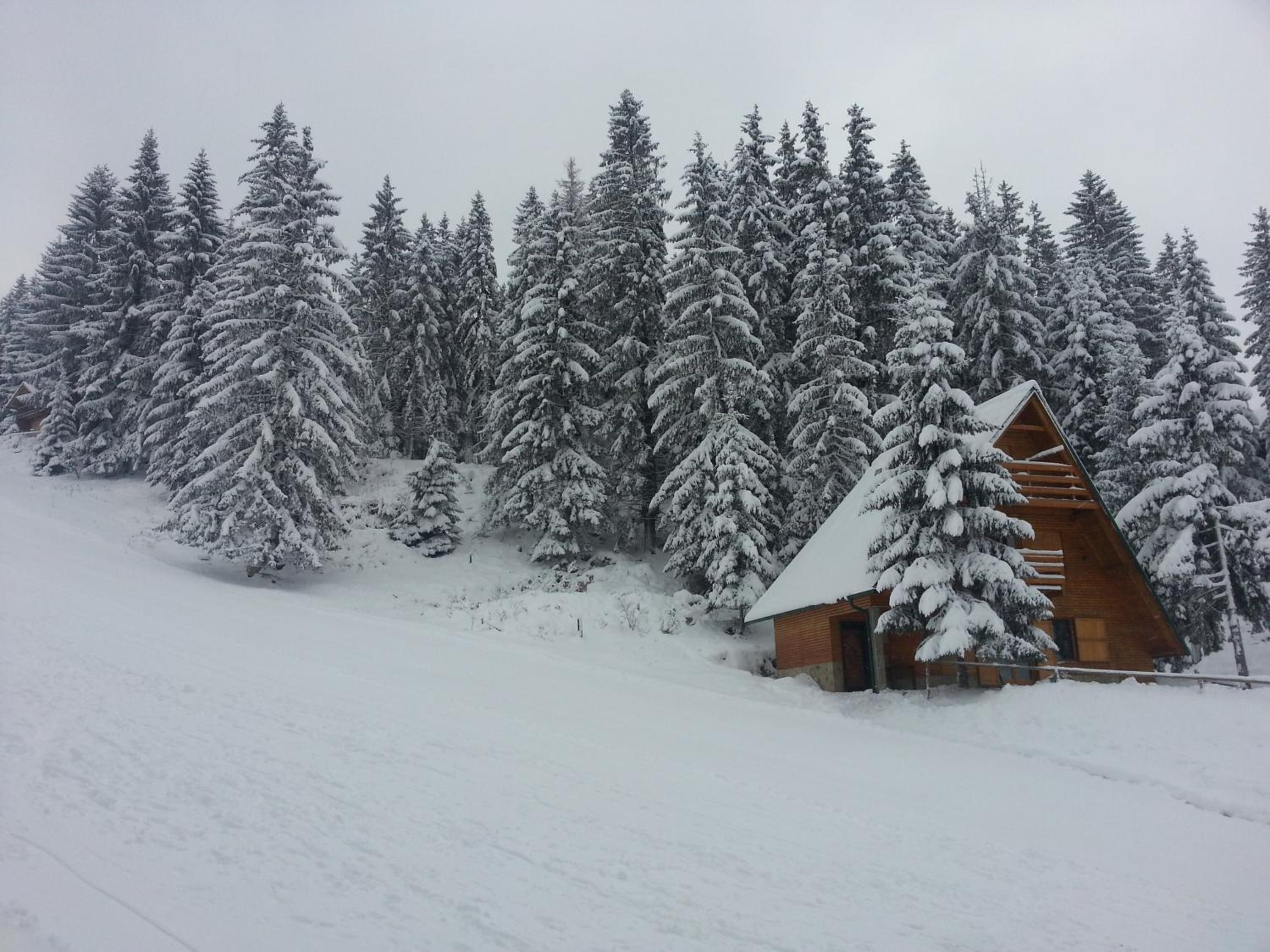 Chalet The Best View