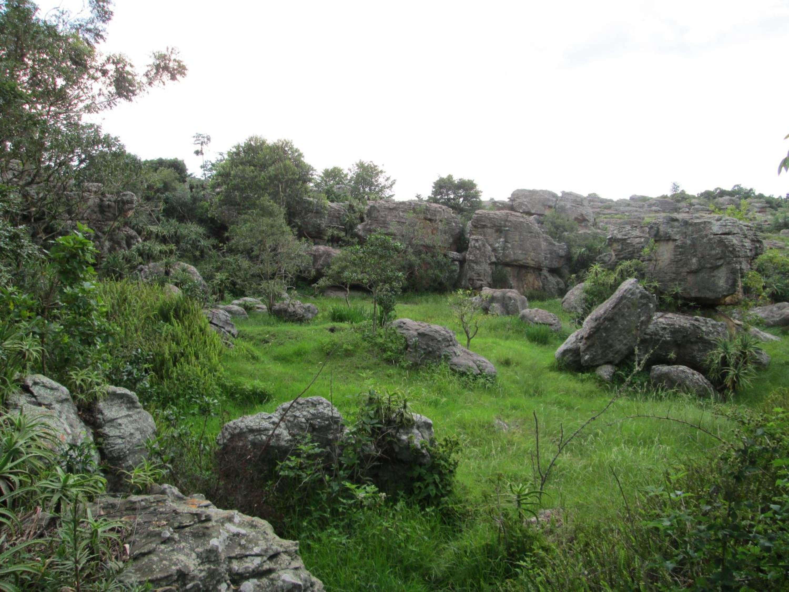 Photo 19