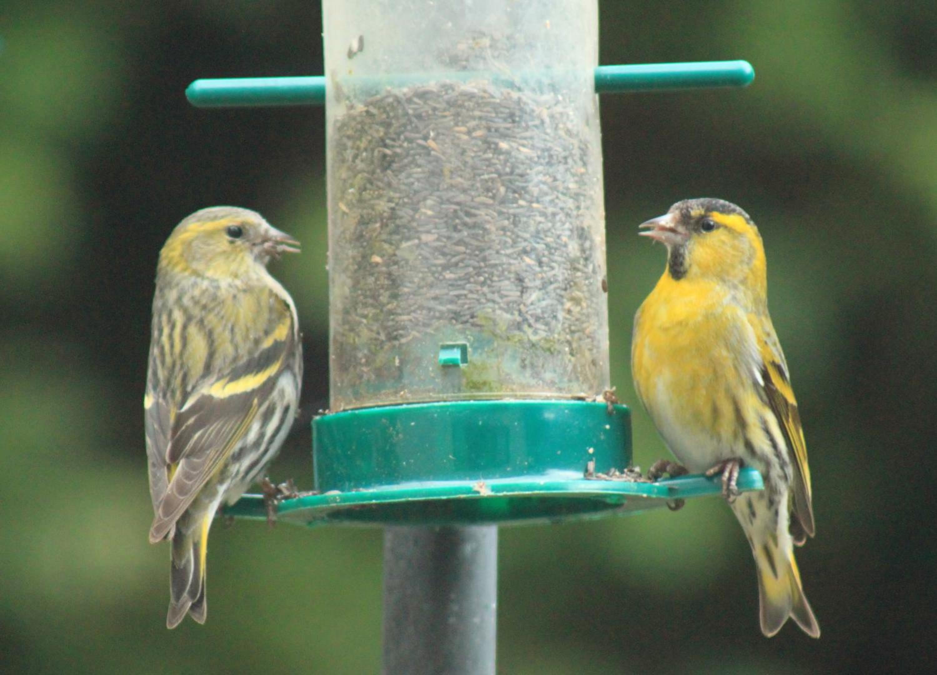 Craik Na Dav B&B