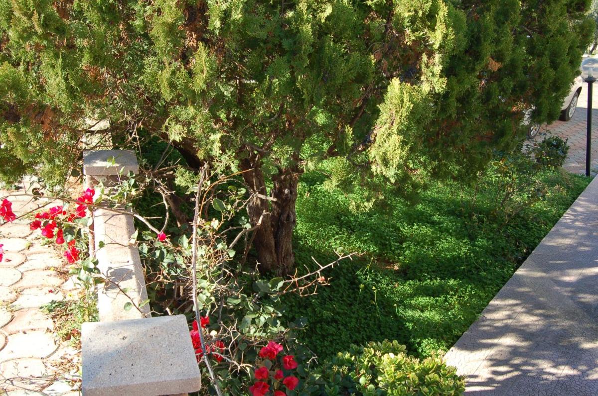 Photo 56